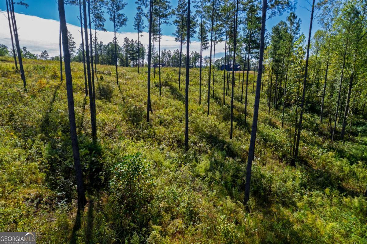 Lot 140 River Reach Lane Property Photo 7