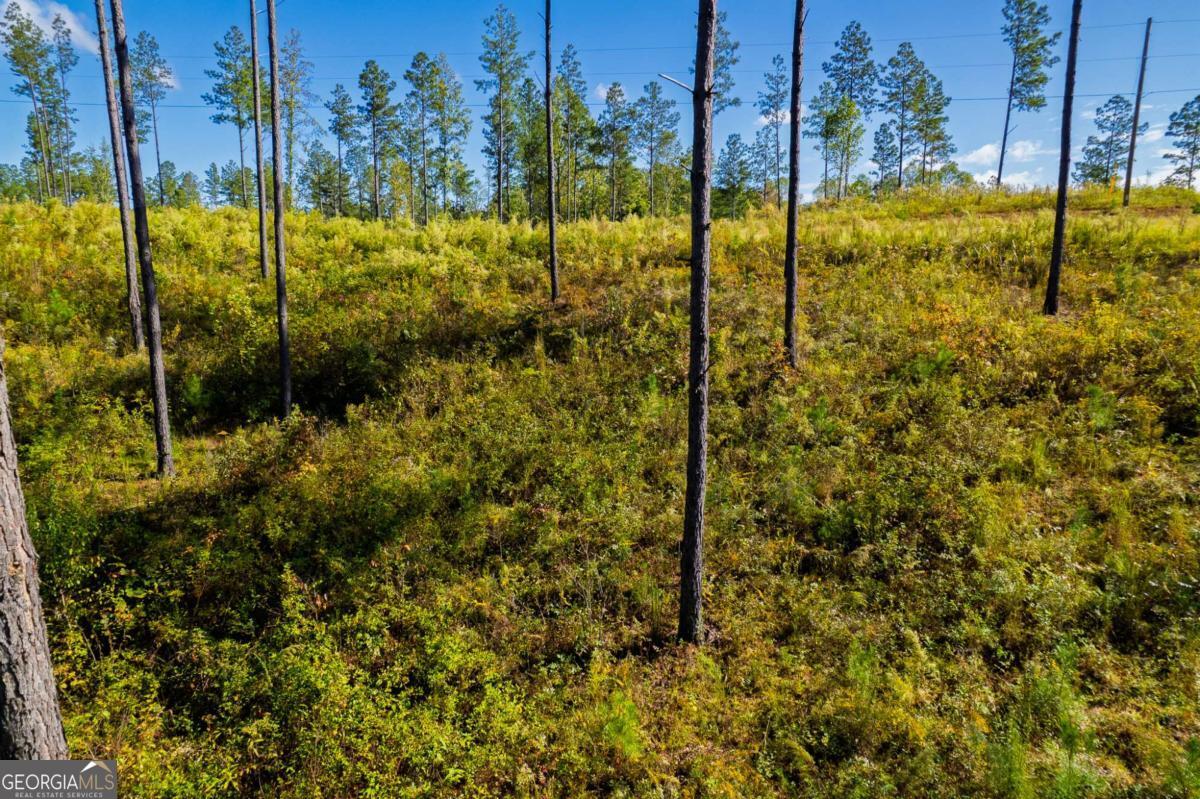 Lot 140 River Reach Lane Property Photo 8