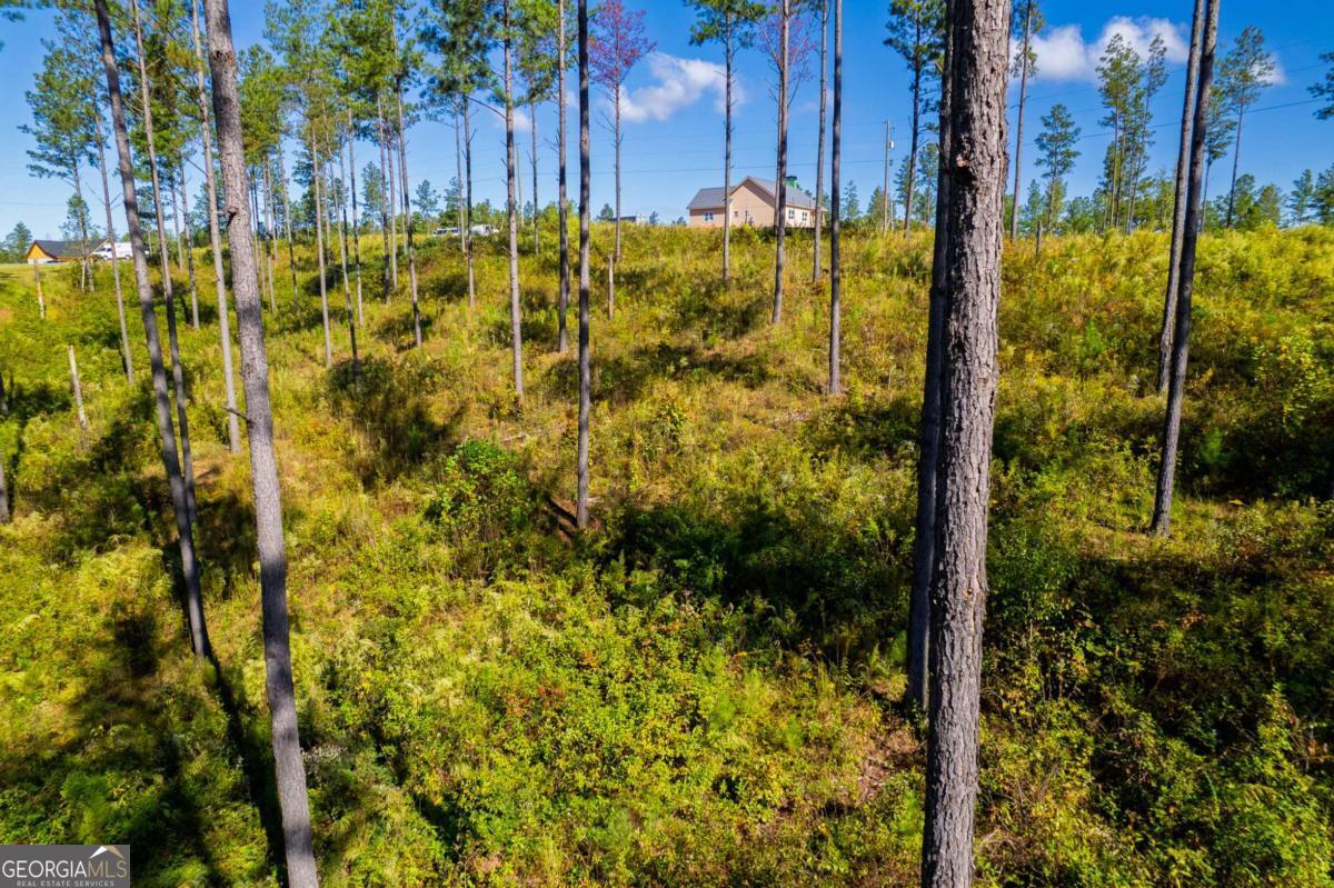 Lot 140 River Reach Lane Property Photo 9