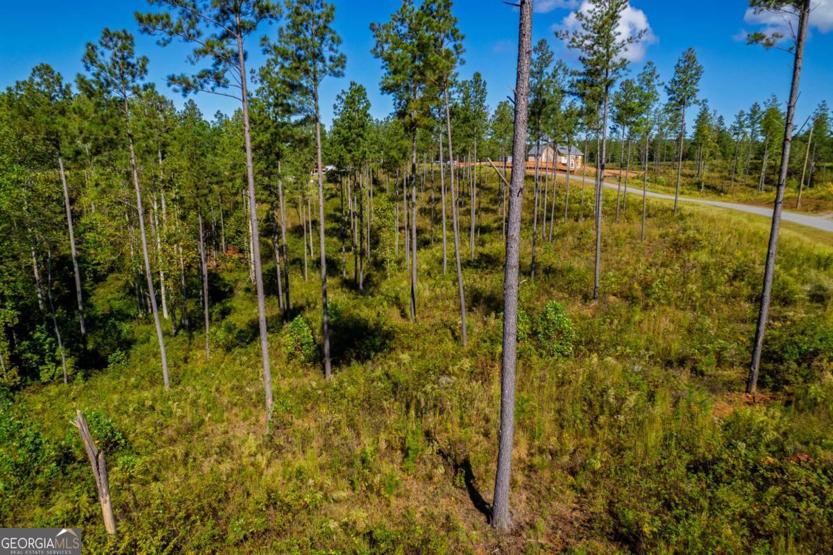Lot 140 River Reach Lane Property Photo 10
