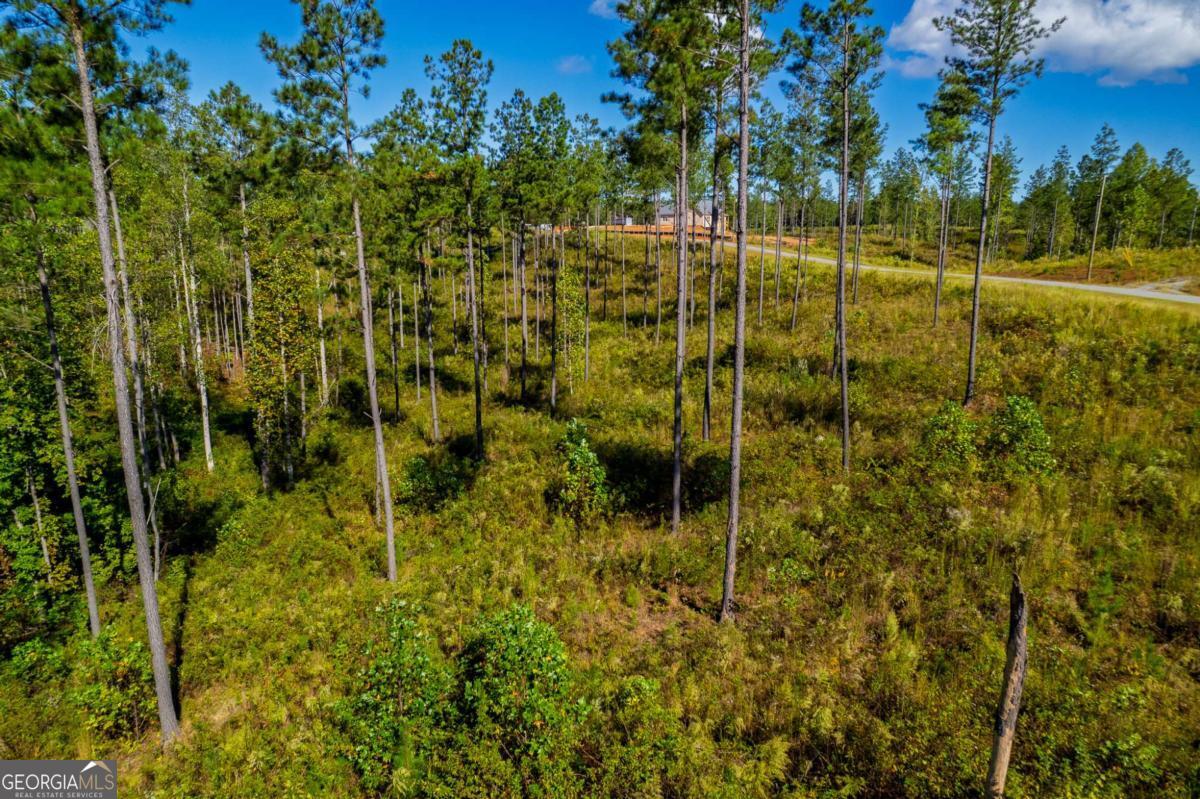 Lot 140 River Reach Lane Property Photo 11