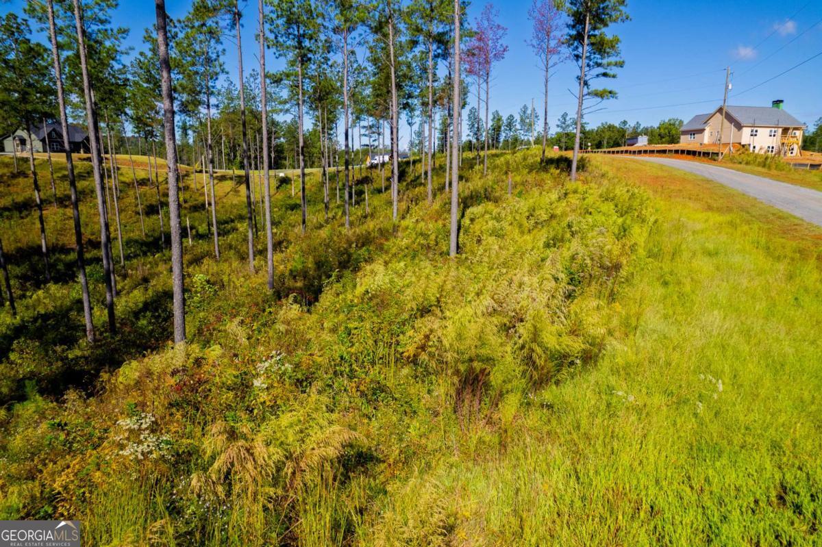Lot 140 River Reach Lane Property Photo 12