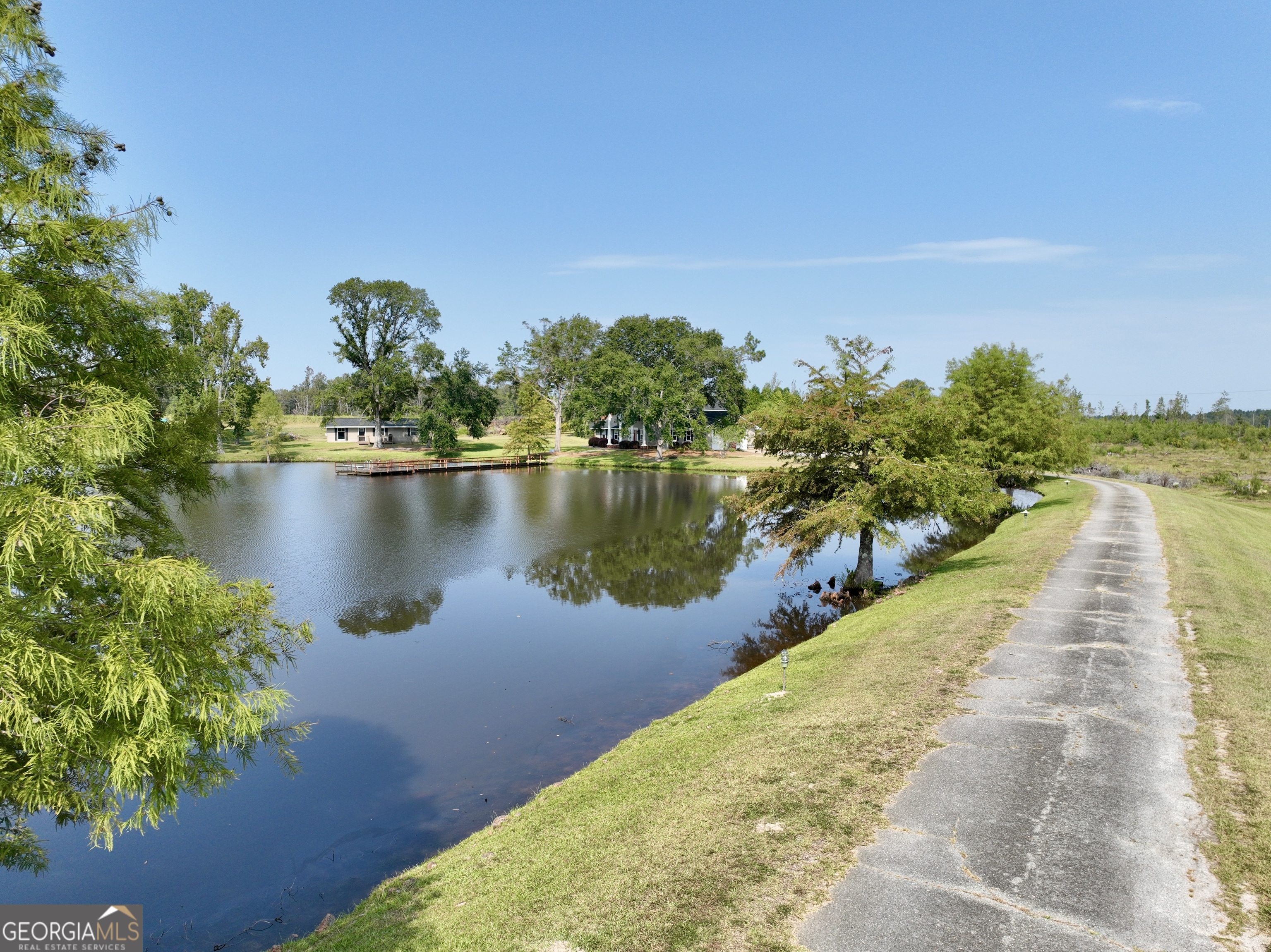 4281 Ga Highway 46 Property Photo 9