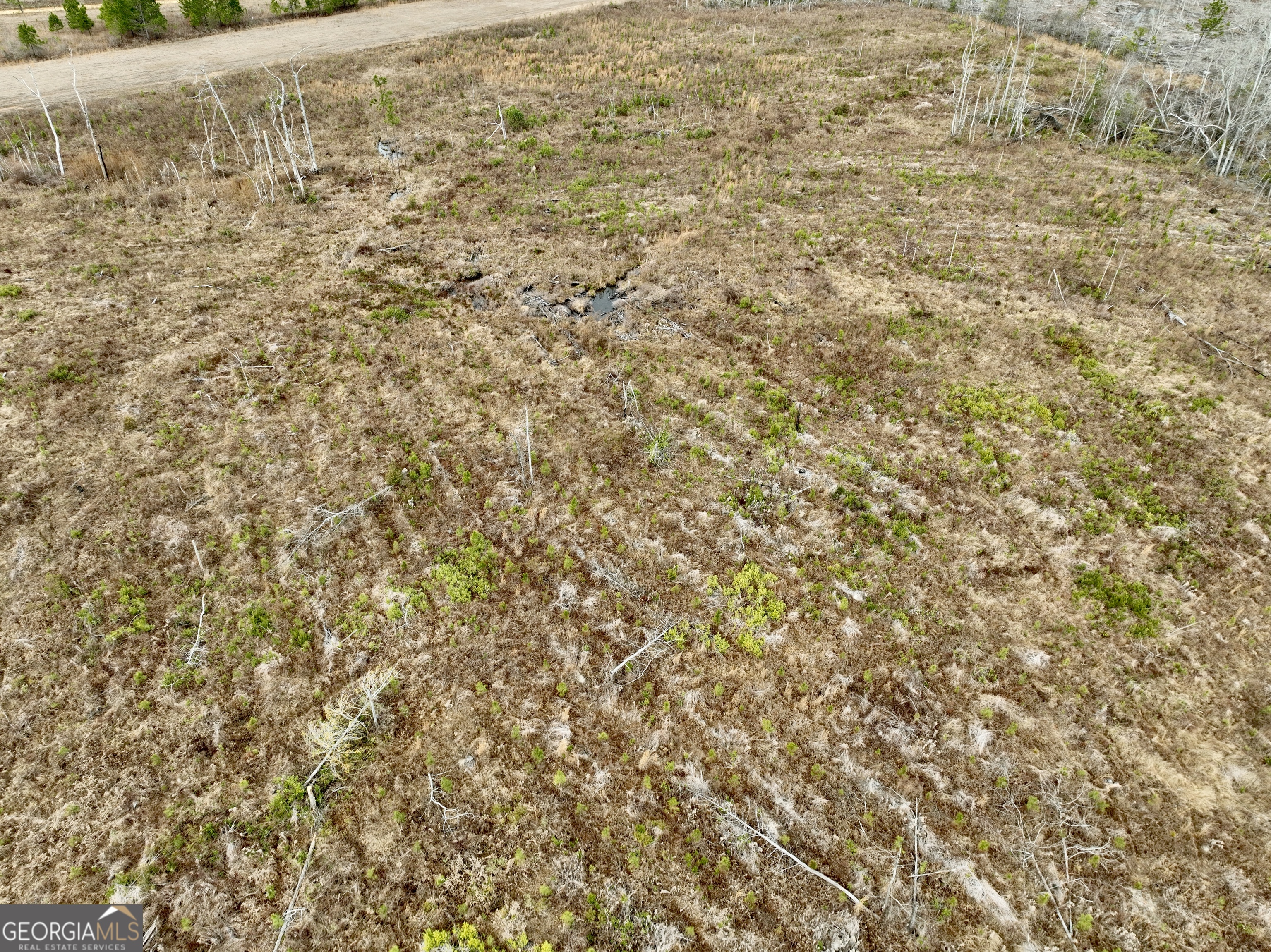 4281 Ga Highway 46 Property Photo 66