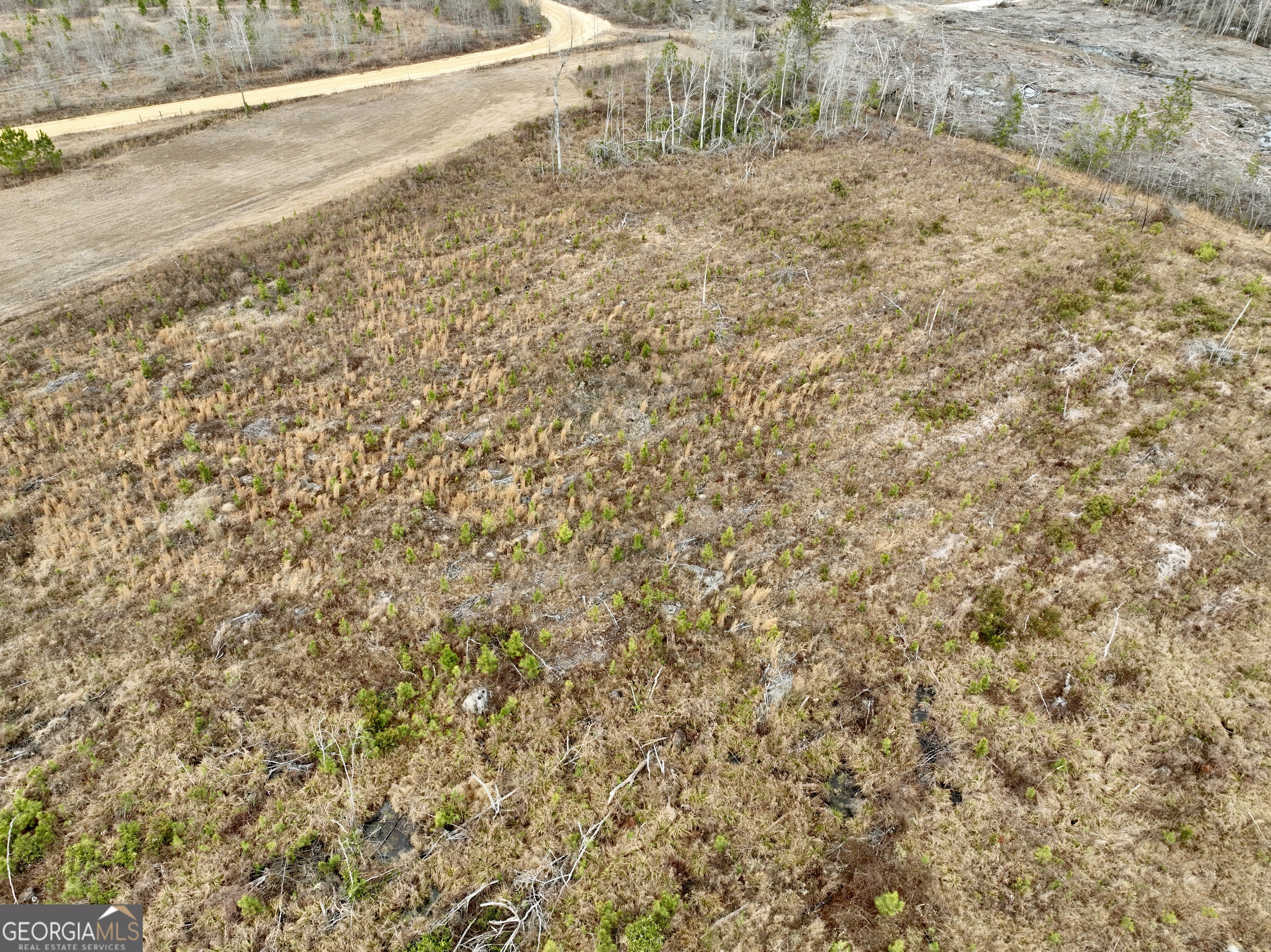 4281 Ga Highway 46 Property Photo 67
