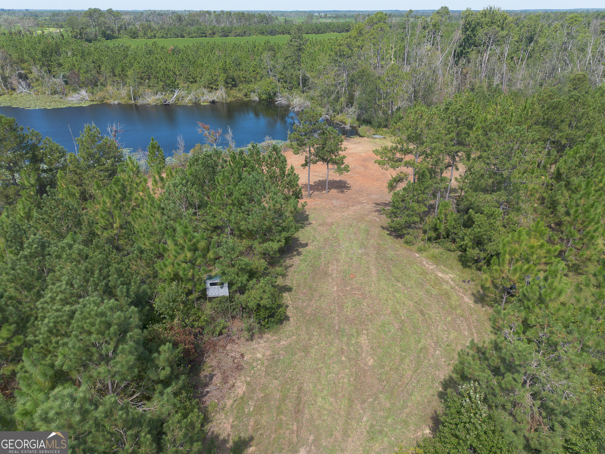 Tract 2 Rhonda Coleman Road Property Photo 10