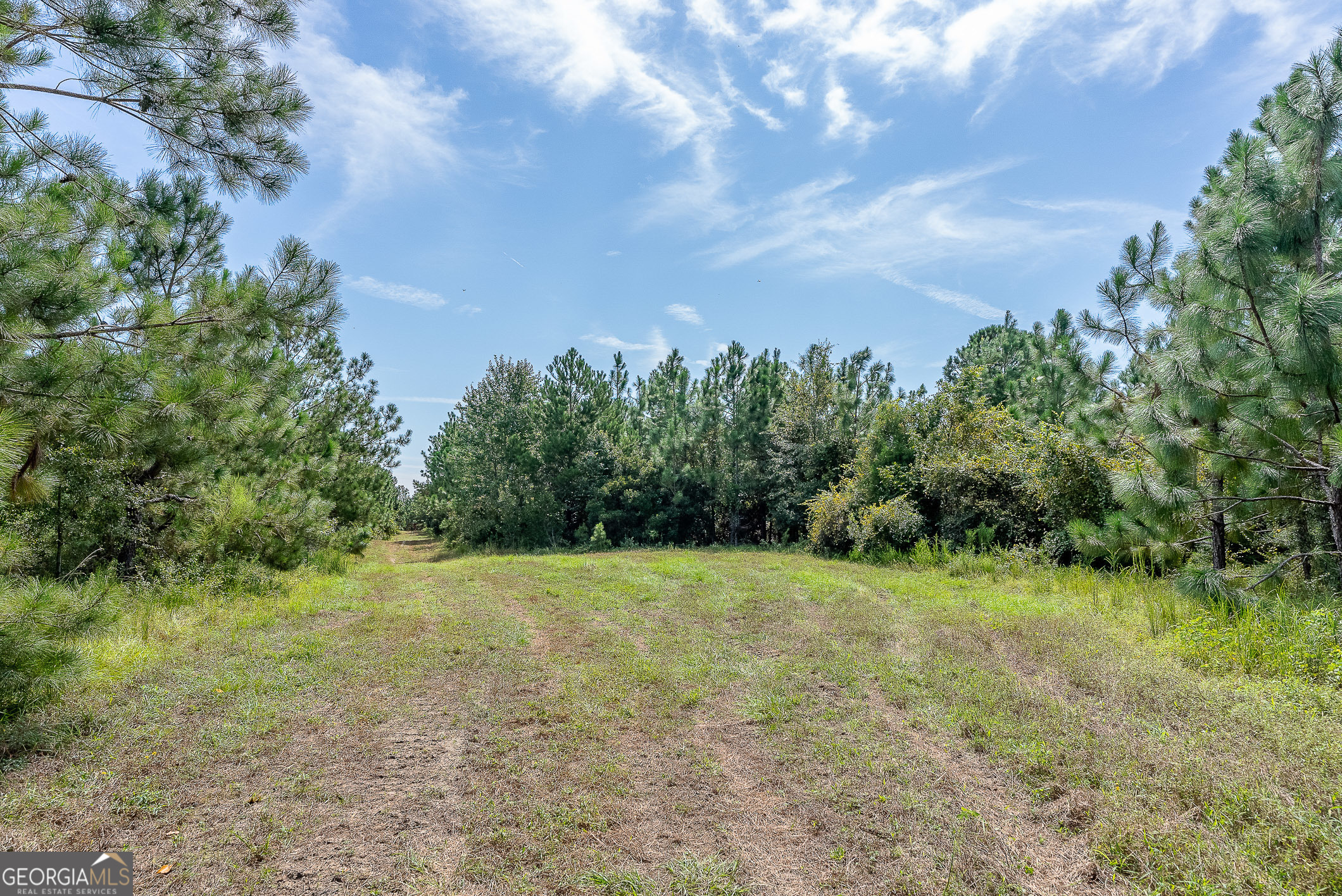 Tract 2 Rhonda Coleman Road Property Photo 12