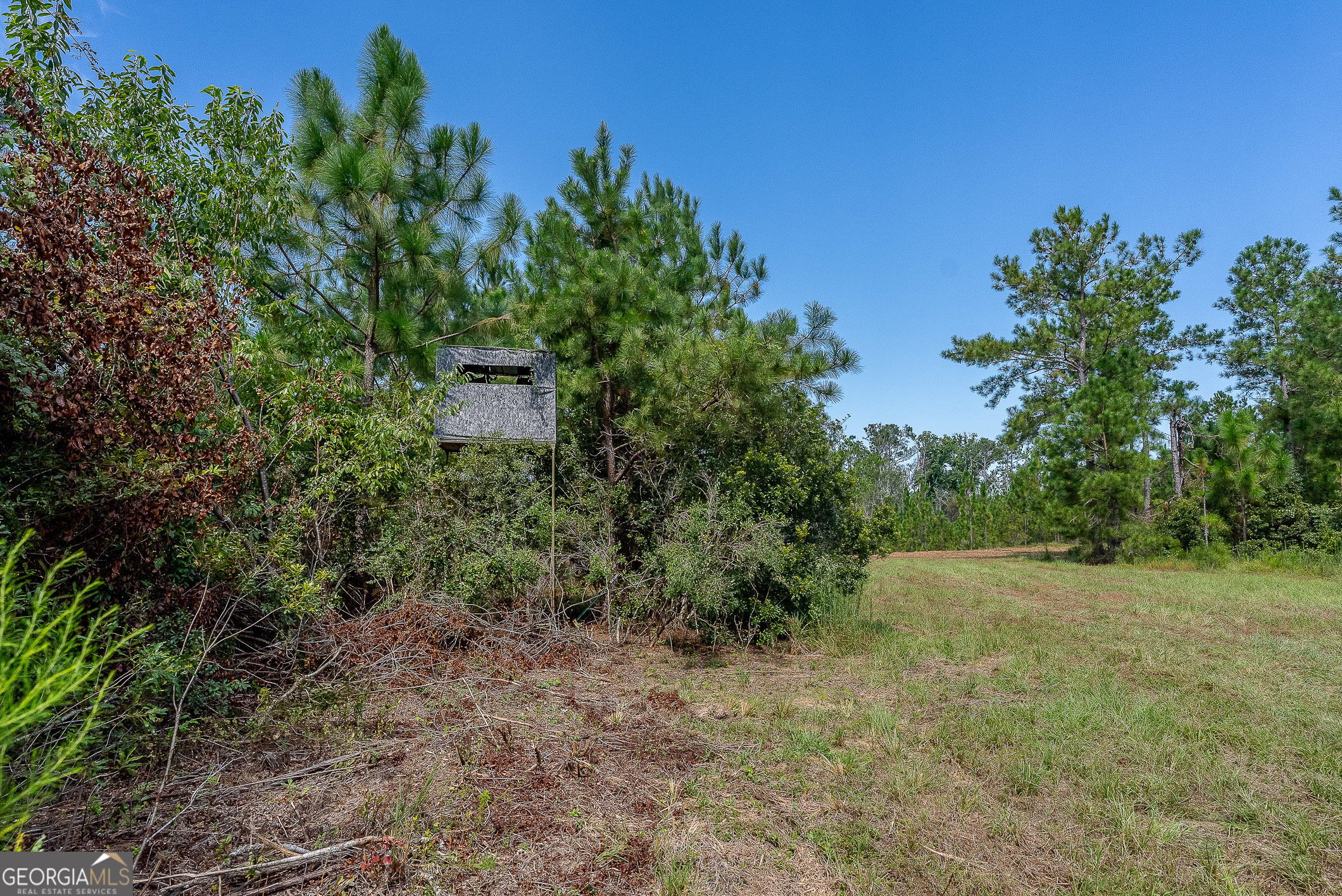 Tract 2 Rhonda Coleman Road Property Photo 31