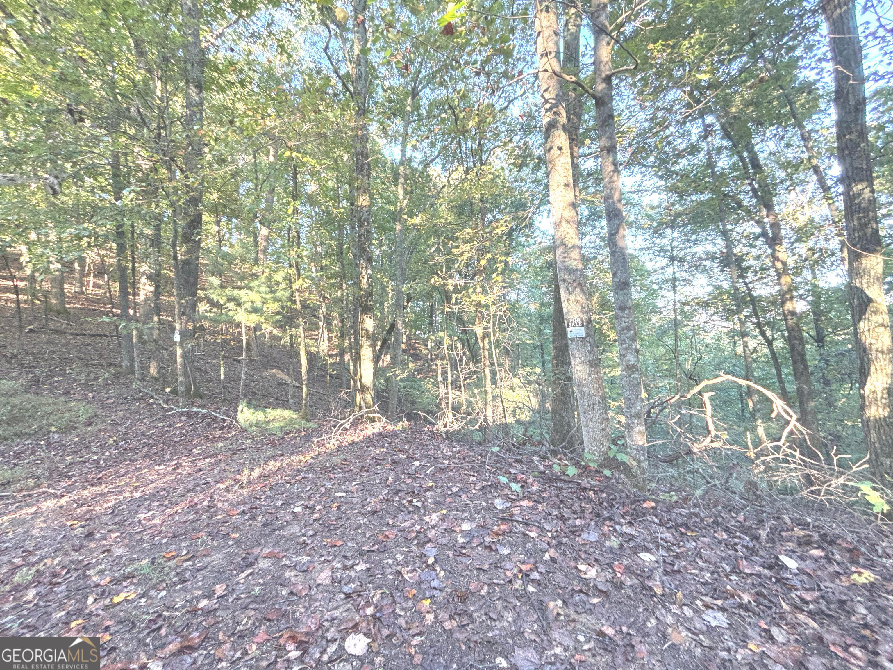 122 Adair Drive Property Photo 1