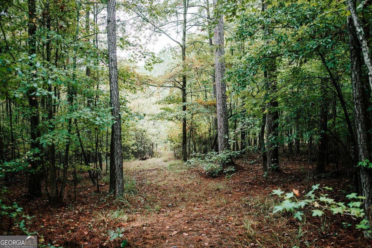 169 Bartram Trace Road Property Photo 1