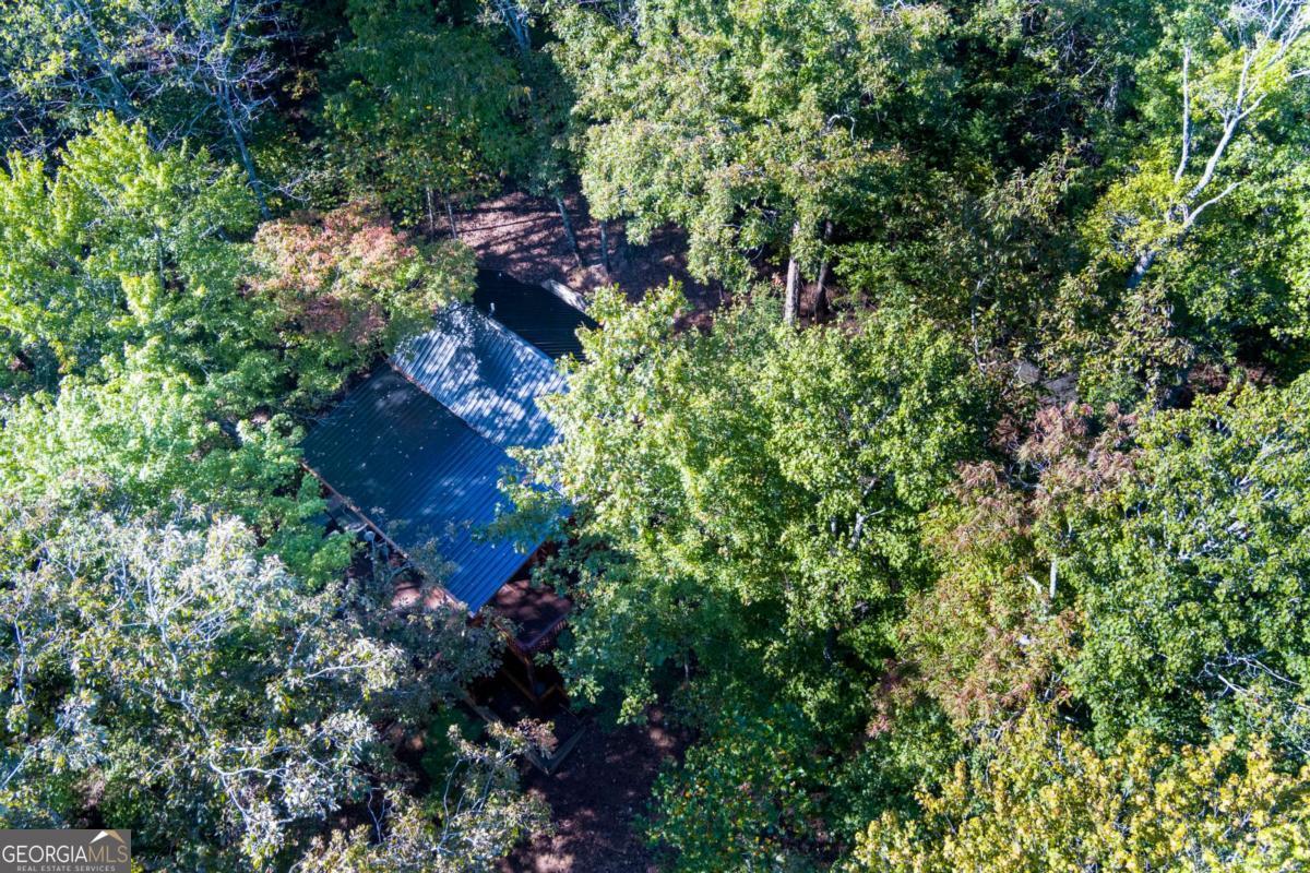 24 Casey Court Property Photo 52