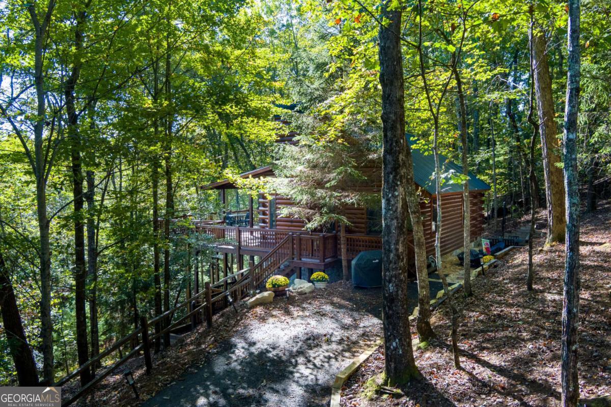 24 Casey Court Property Photo 54