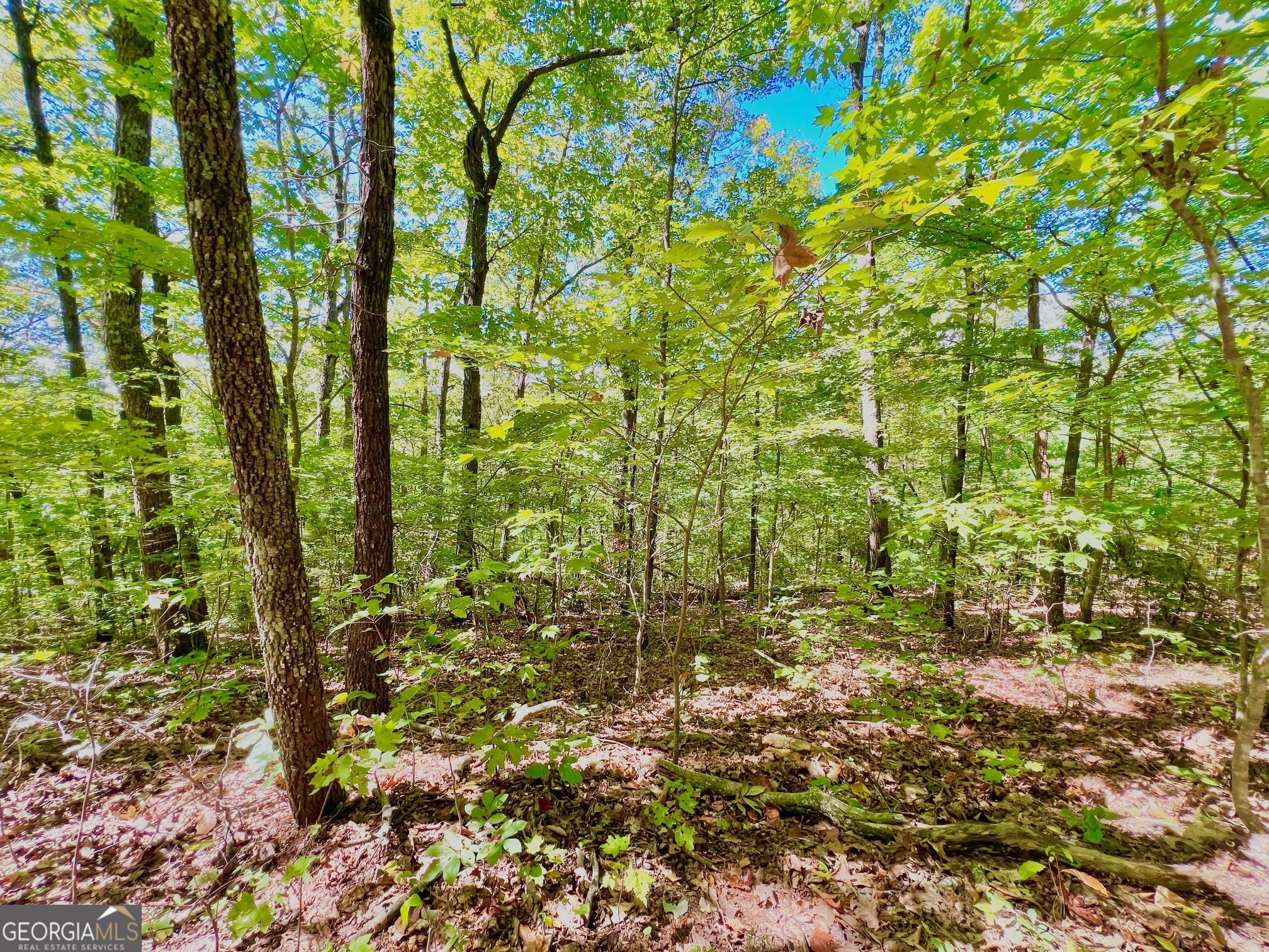 0 Double Knob Road Property Photo 3