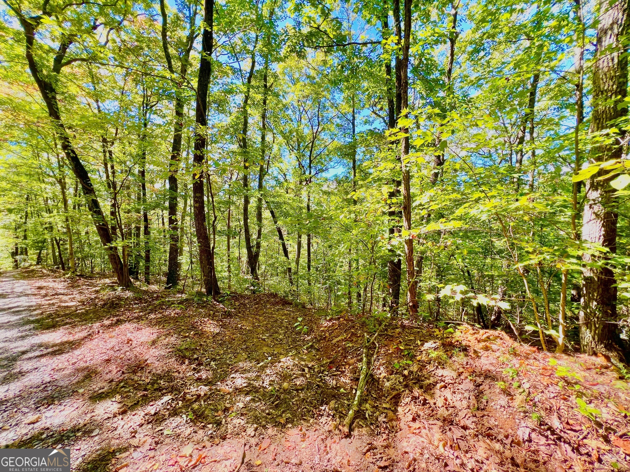 0 Double Knob Road Property Photo 4