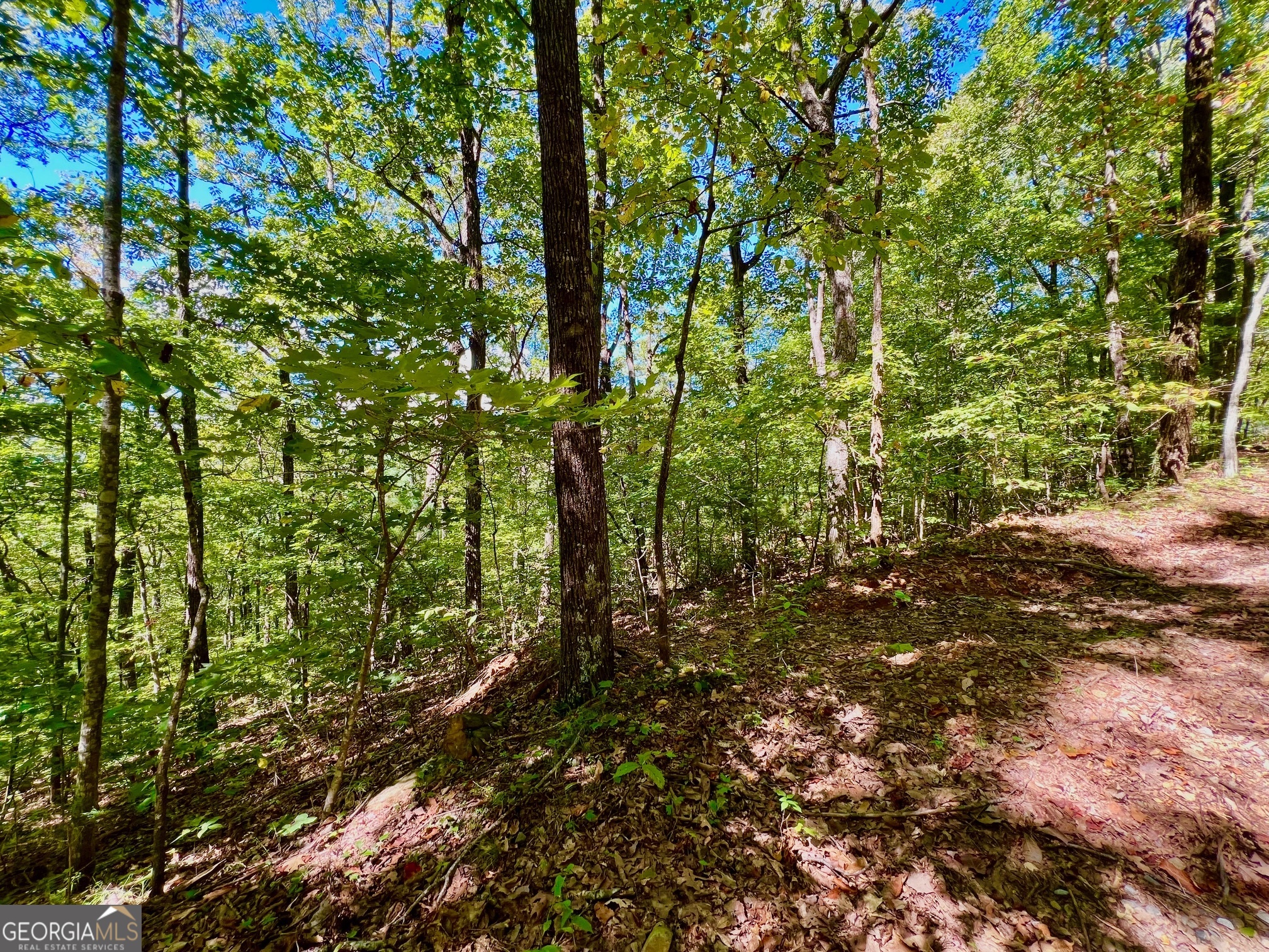 0 Double Knob Road Property Photo 6