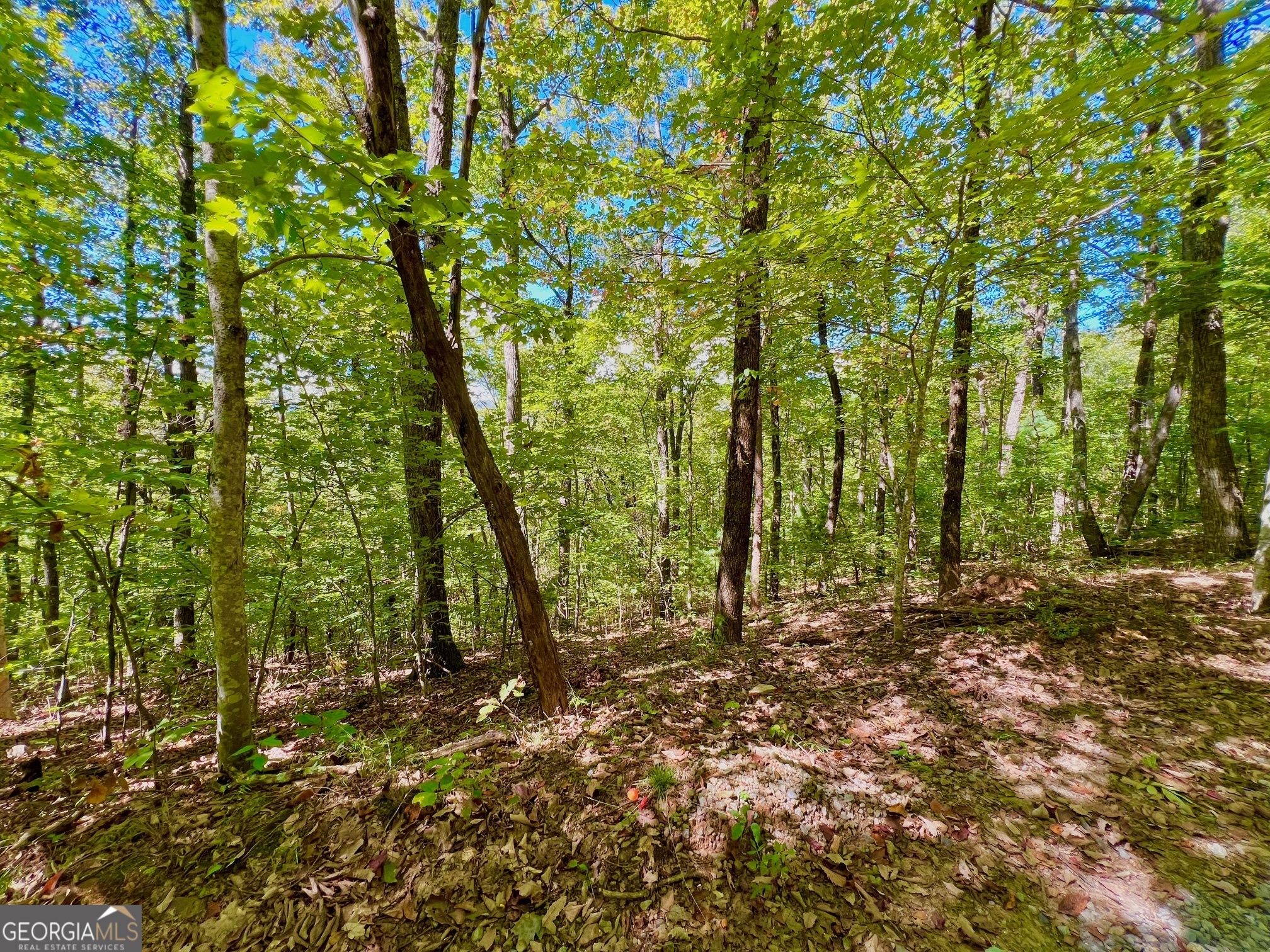 0 Double Knob Road Property Photo 8