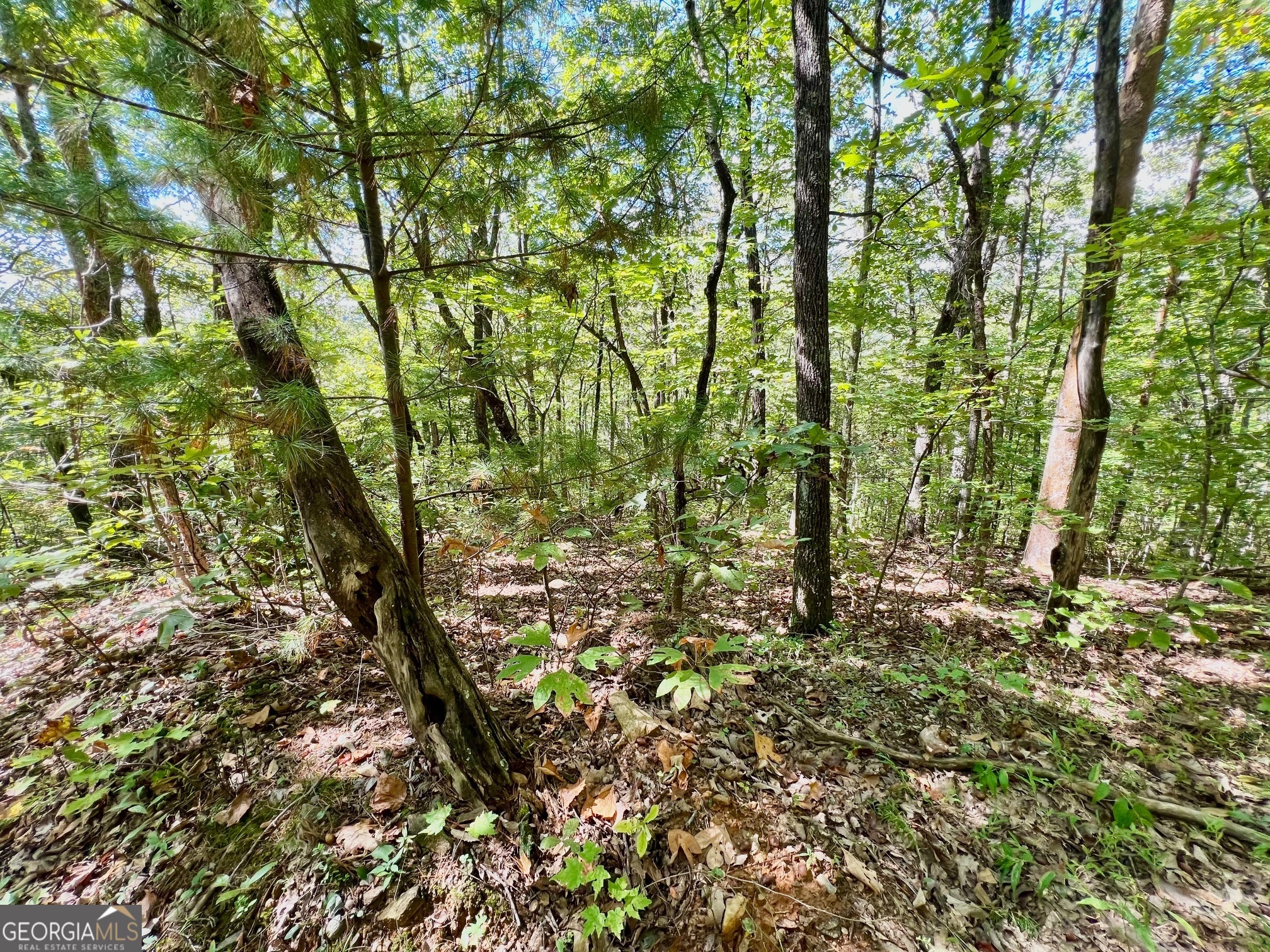 0 Double Knob Road Property Photo 9