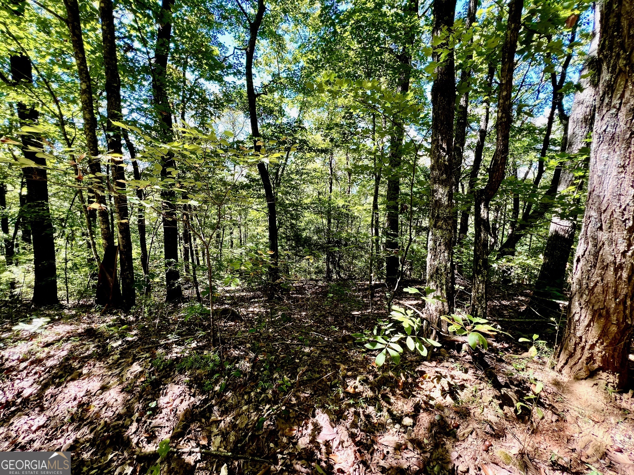 0 Double Knob Road Property Photo 10