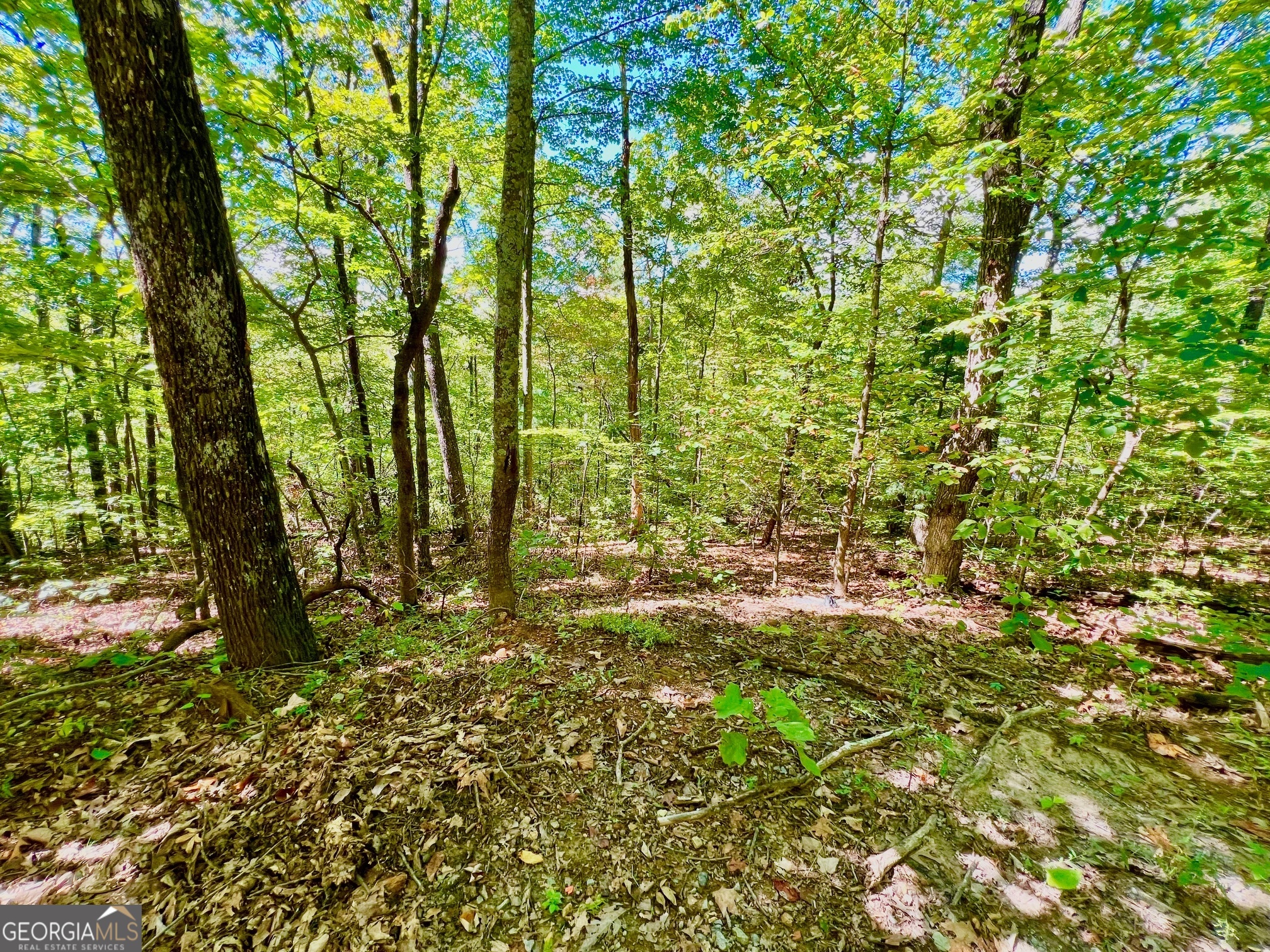 0 Double Knob Road Property Photo 12