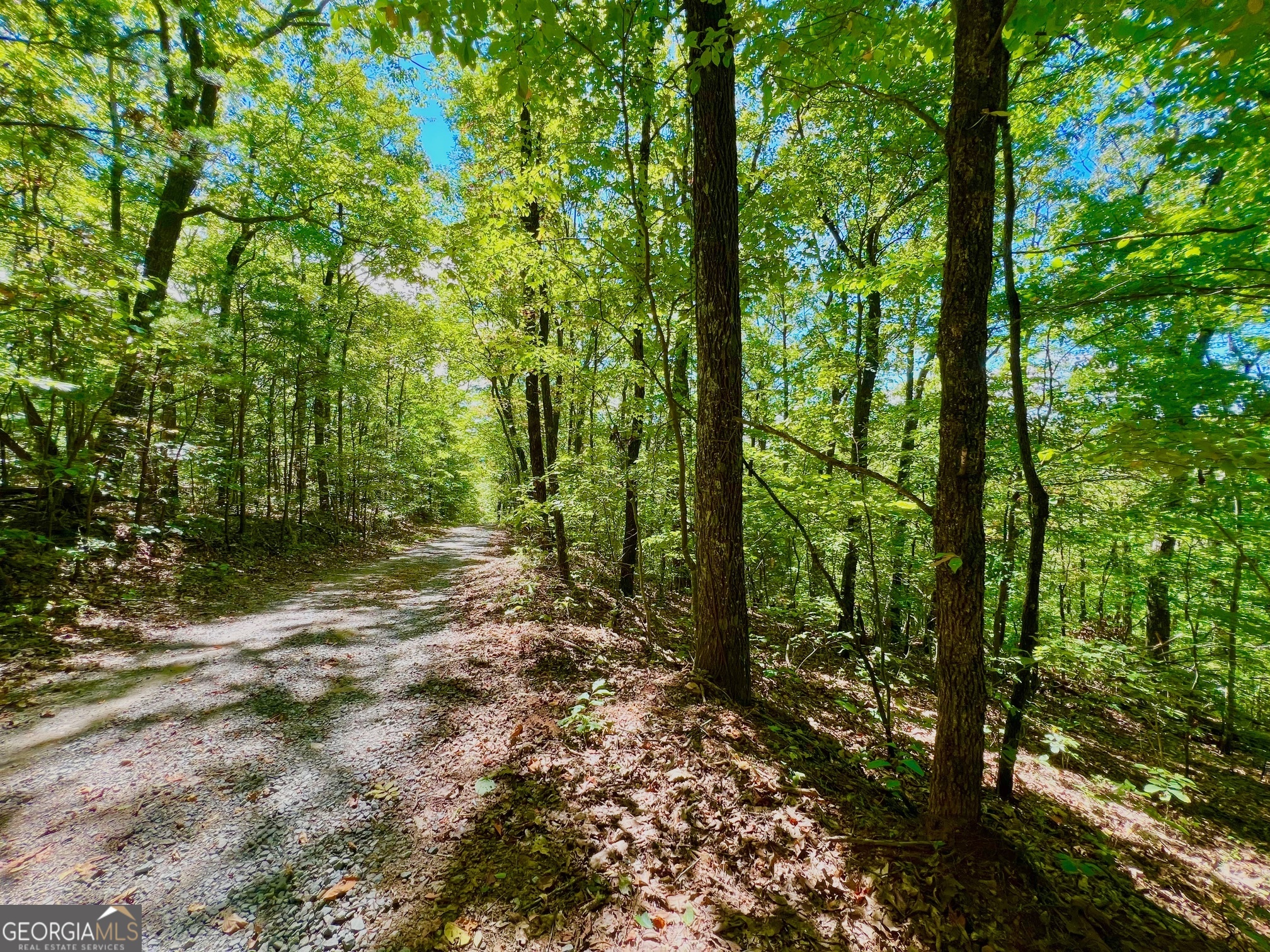 0 Double Knob Road Property Photo 13