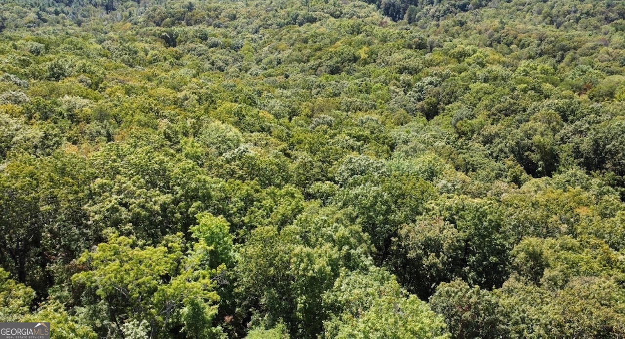 0 Double Knob Road Property Photo 16