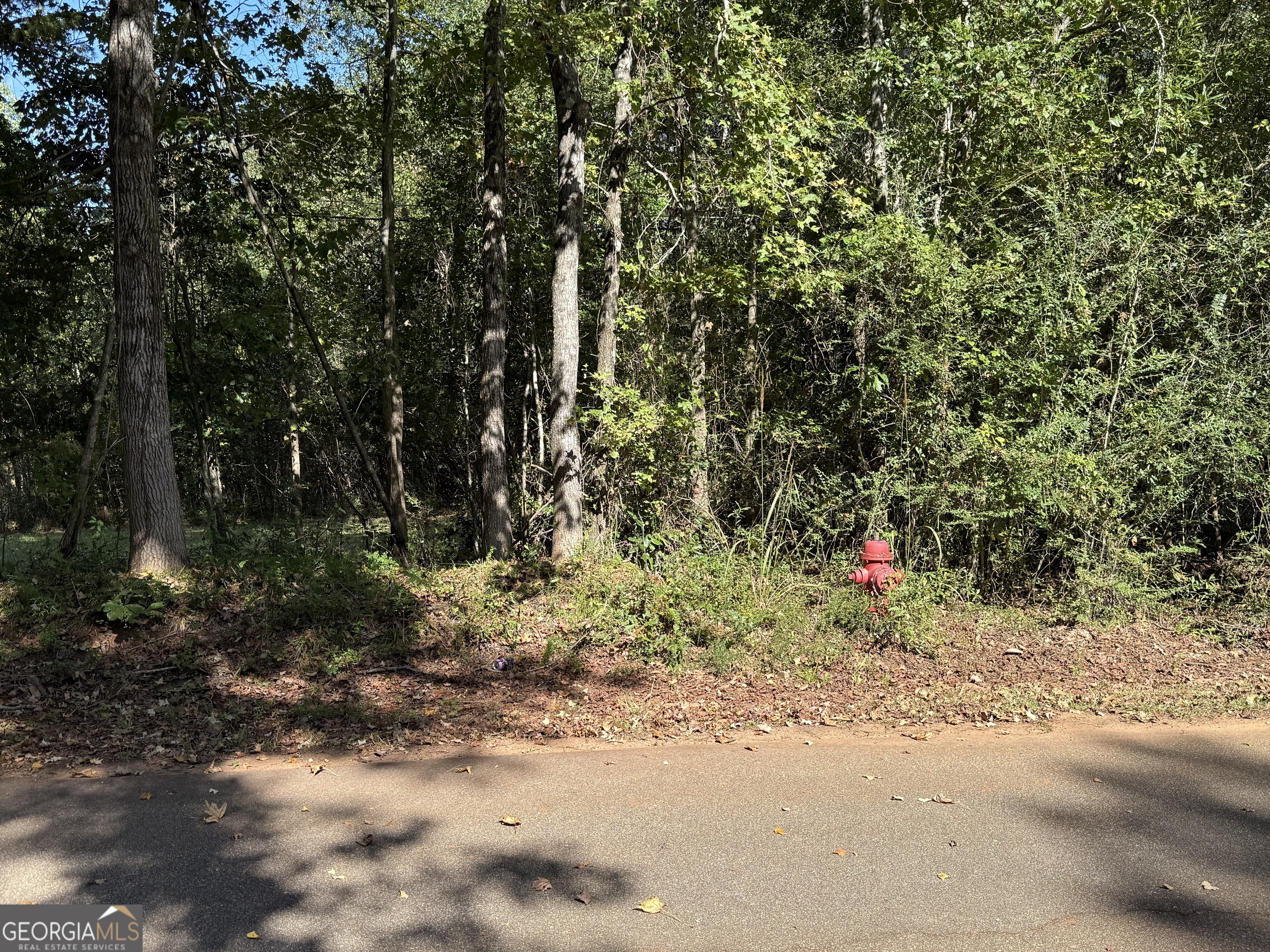 0 Hudson Property Photo 3