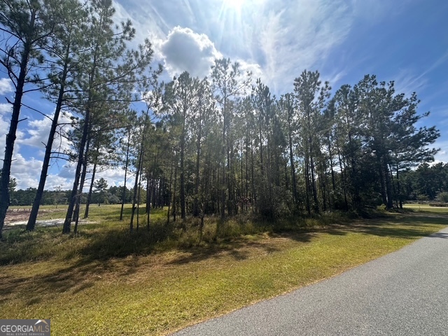 12 Buchanan Landing Drive Property Photo 8