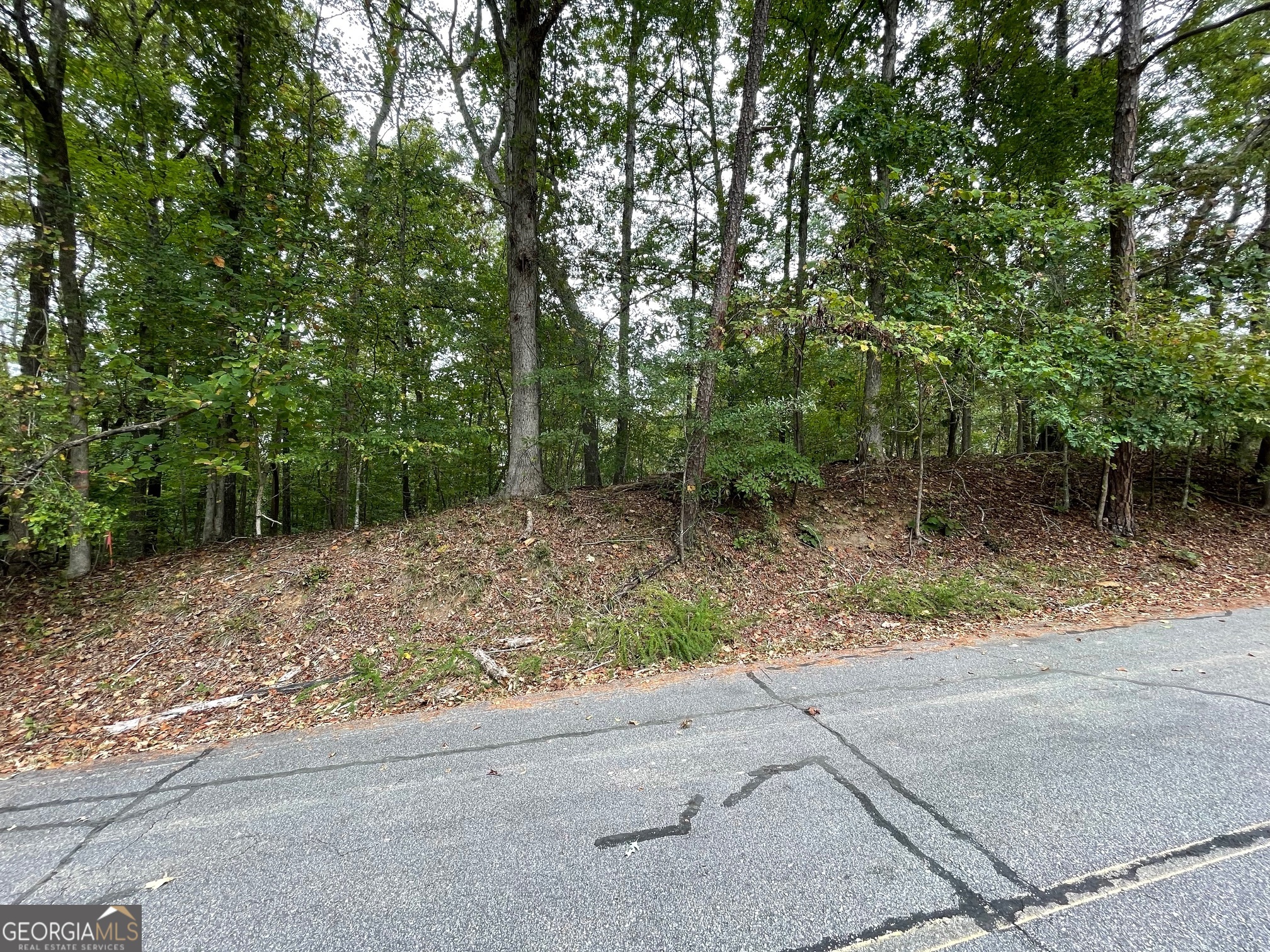 Lot 296 Oconee Avenue Property Photo 1