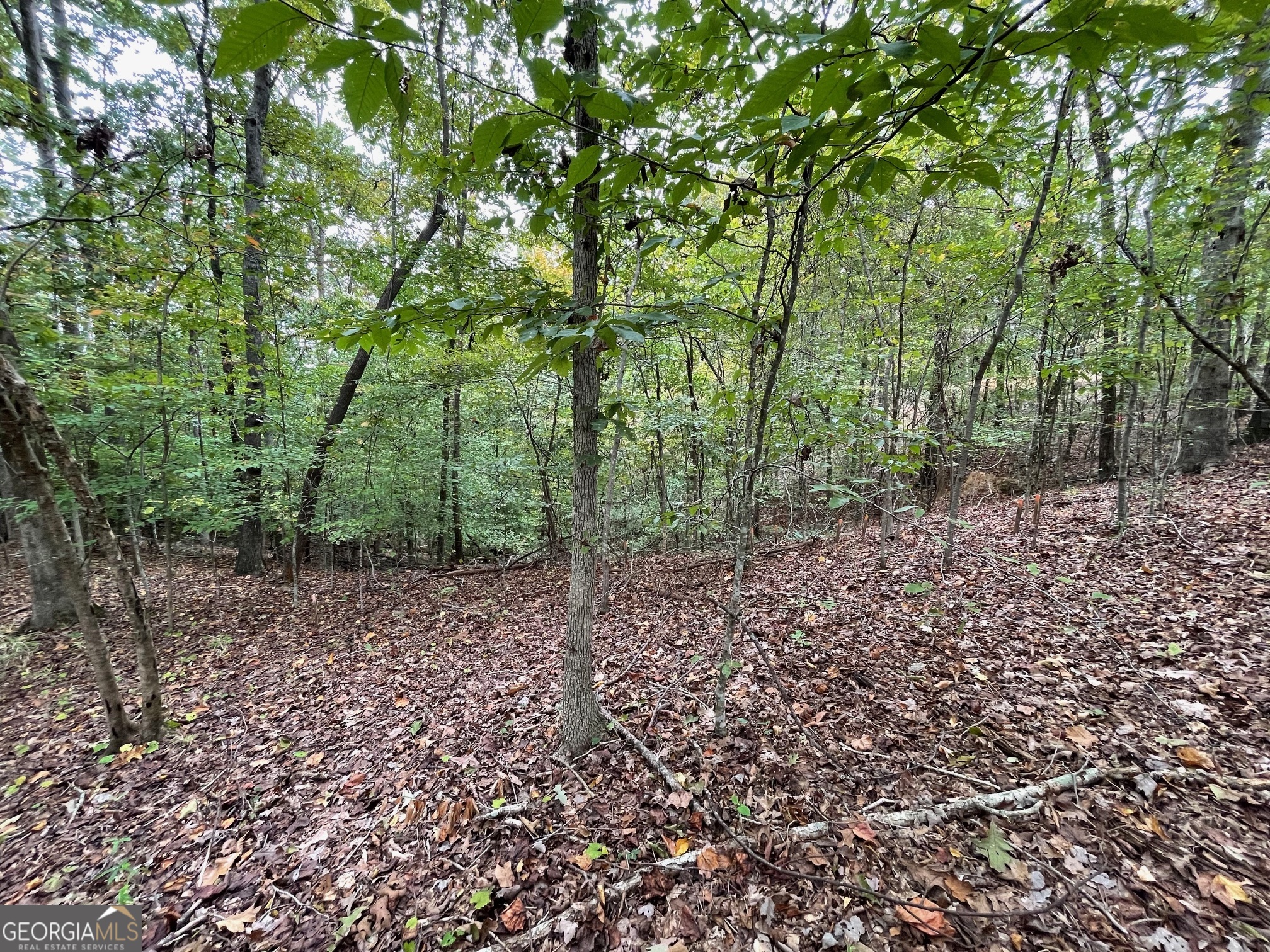 Lot 296 Oconee Avenue Property Photo 2