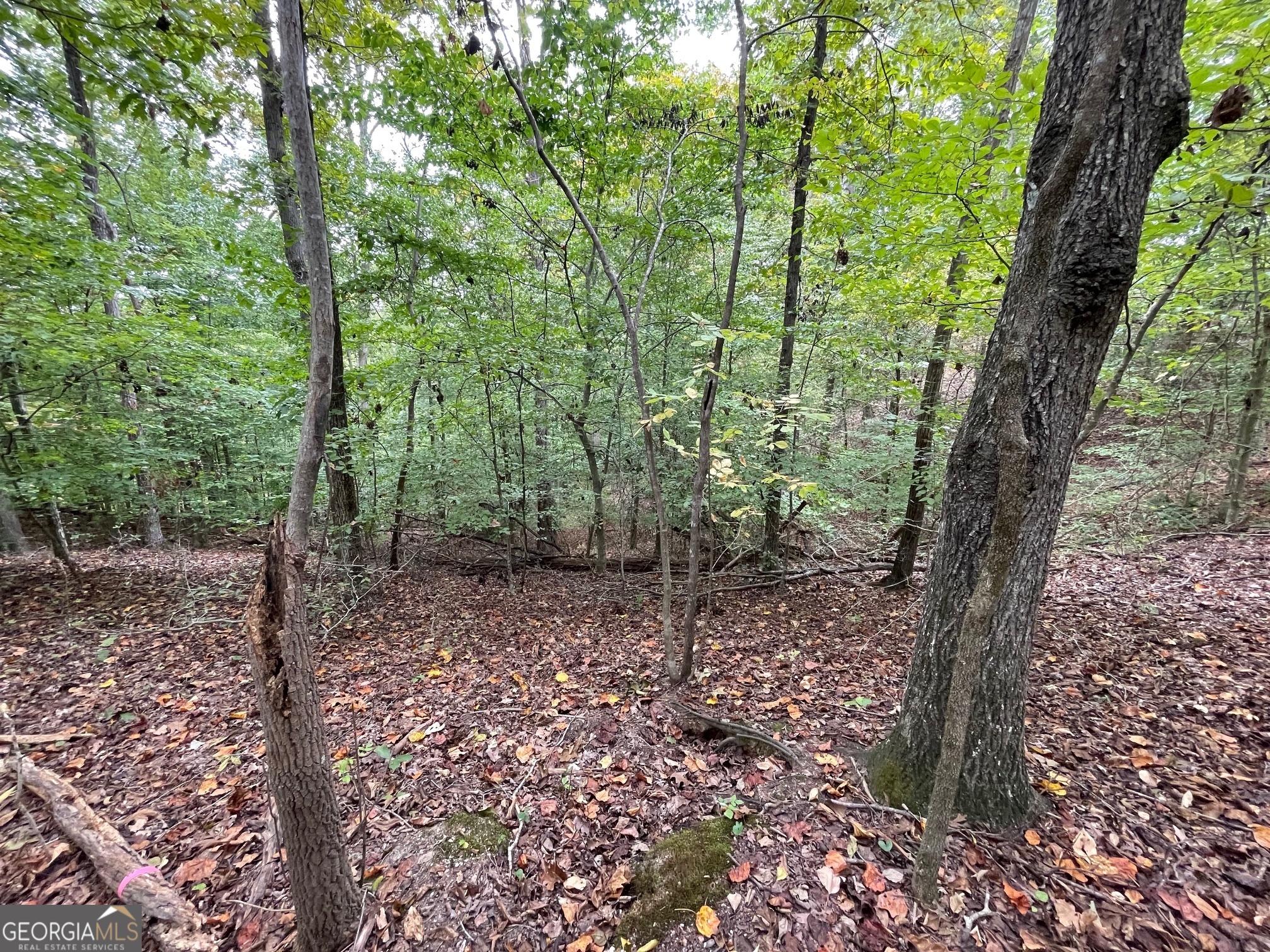 Lot 296 Oconee Avenue Property Photo 3