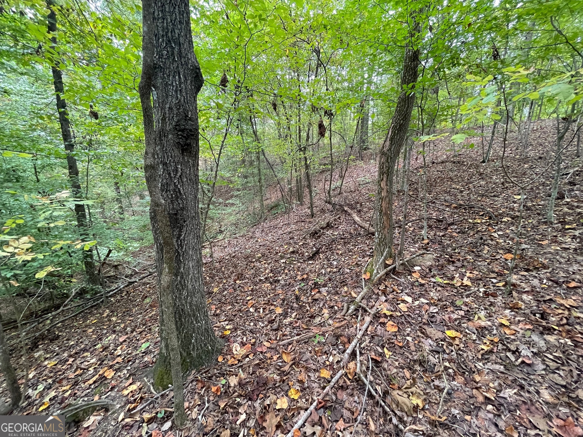 Lot 296 Oconee Avenue Property Photo 4