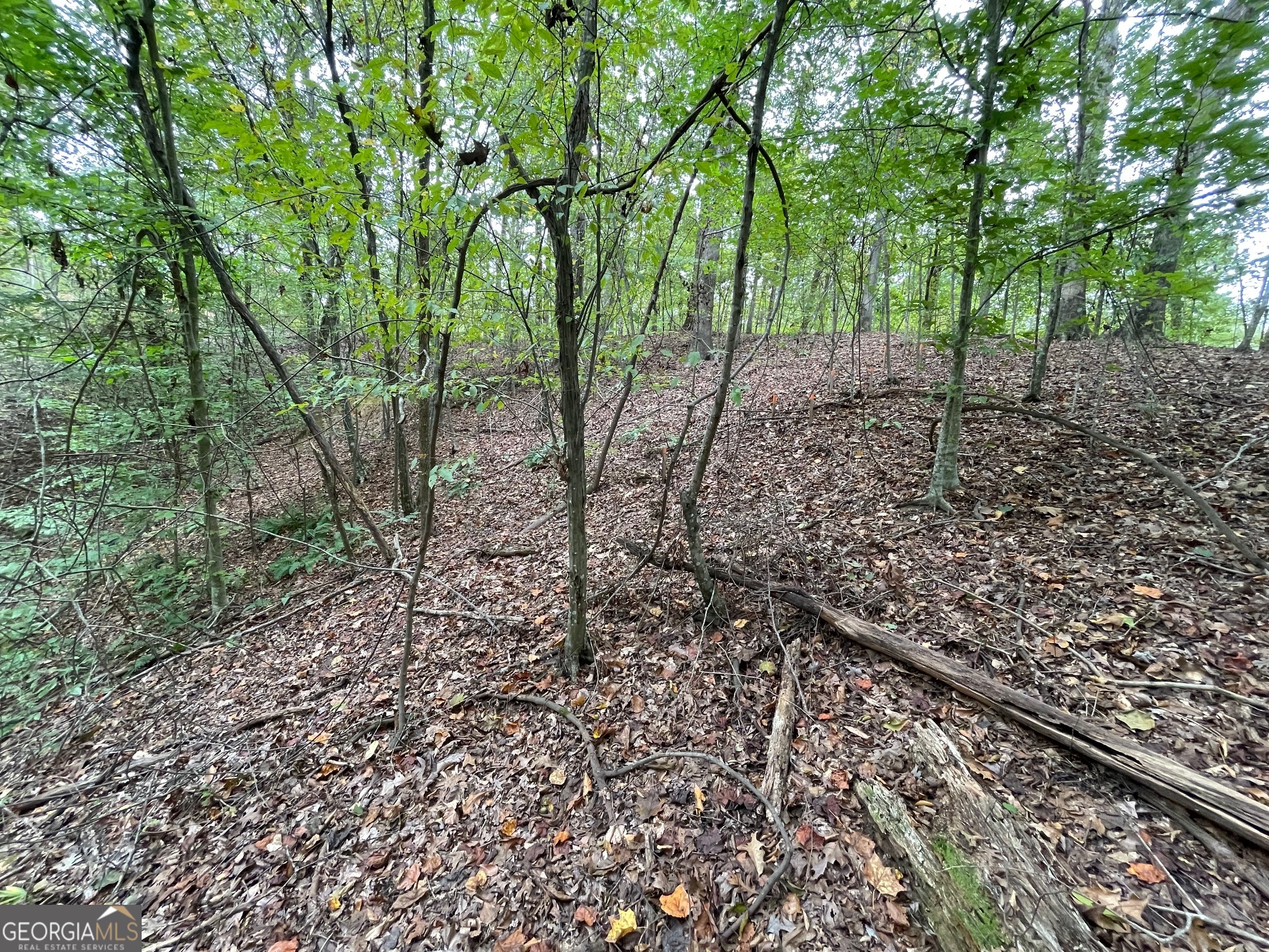 Lot 296 Oconee Avenue Property Photo 5