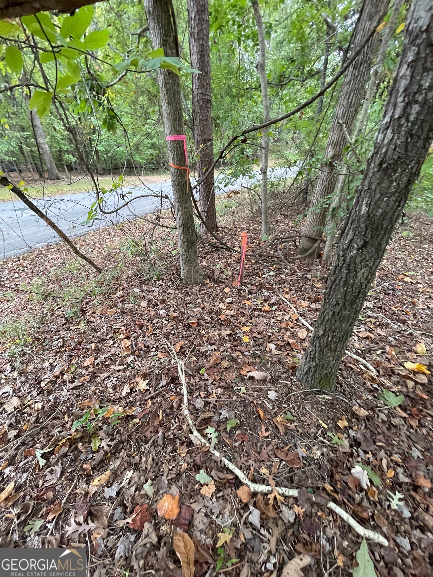 Lot 296 Oconee Avenue Property Photo 6