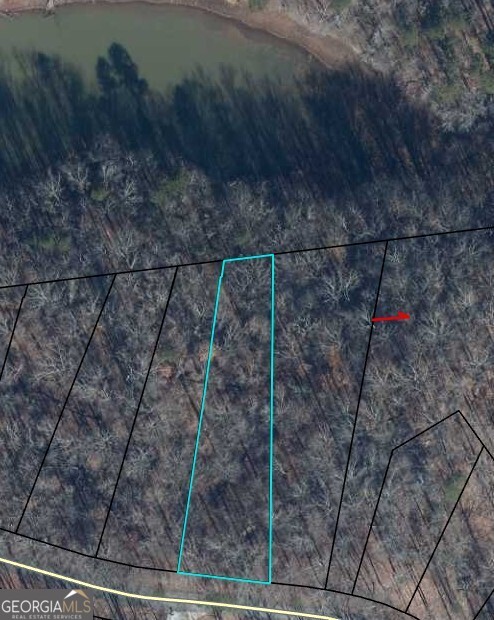 Lot 296 Oconee Avenue Property Photo 9