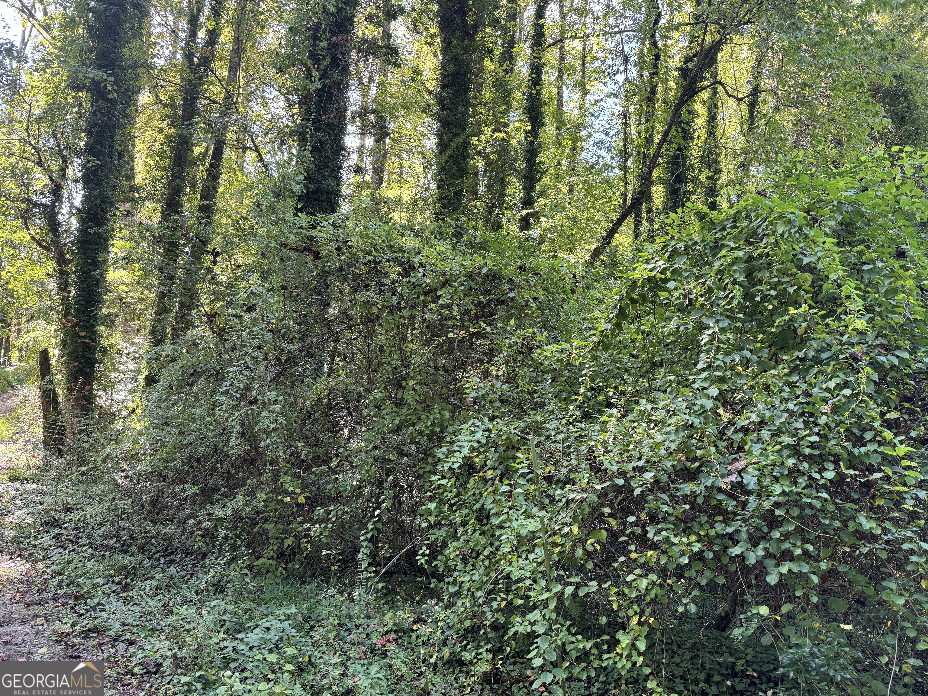 0 Post Oak Lot 15 Property Photo 1