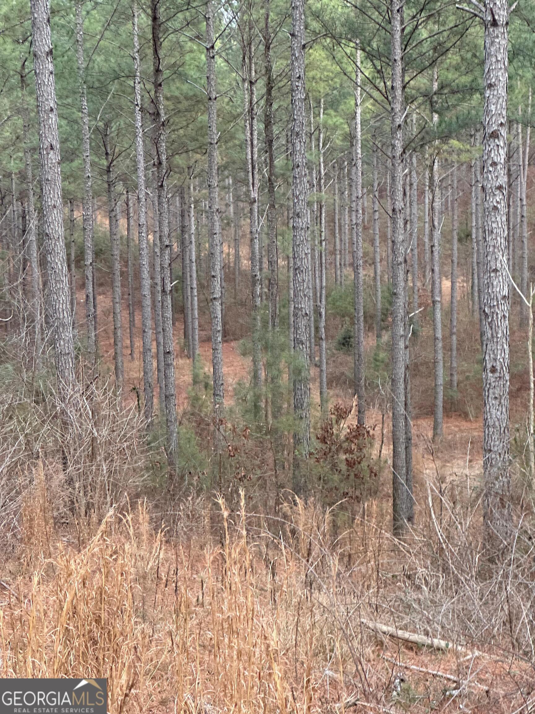 0 S Highway 225 # 9659 Property Photo 24