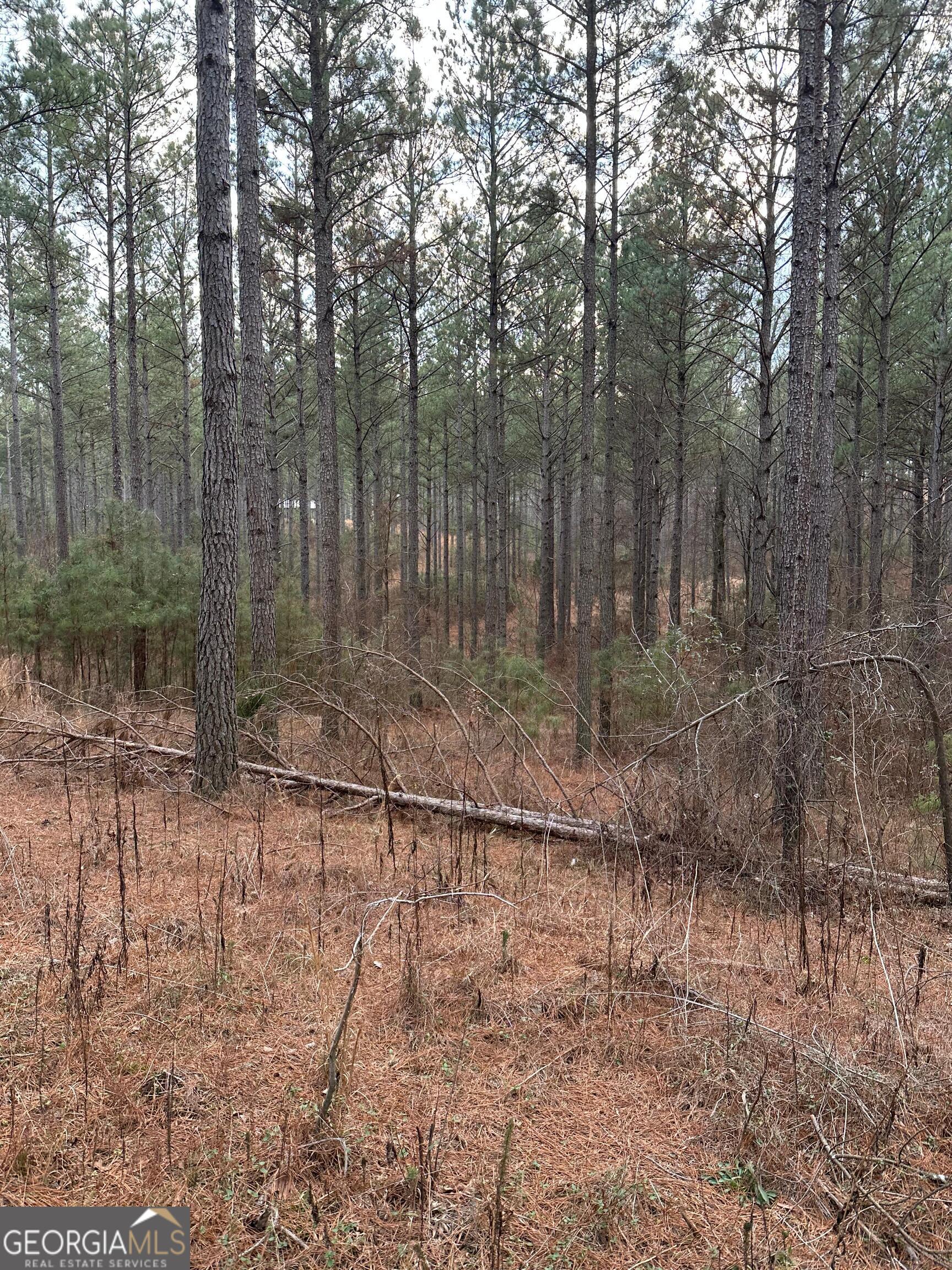 0 S Highway 225 # 9659 Property Photo 28