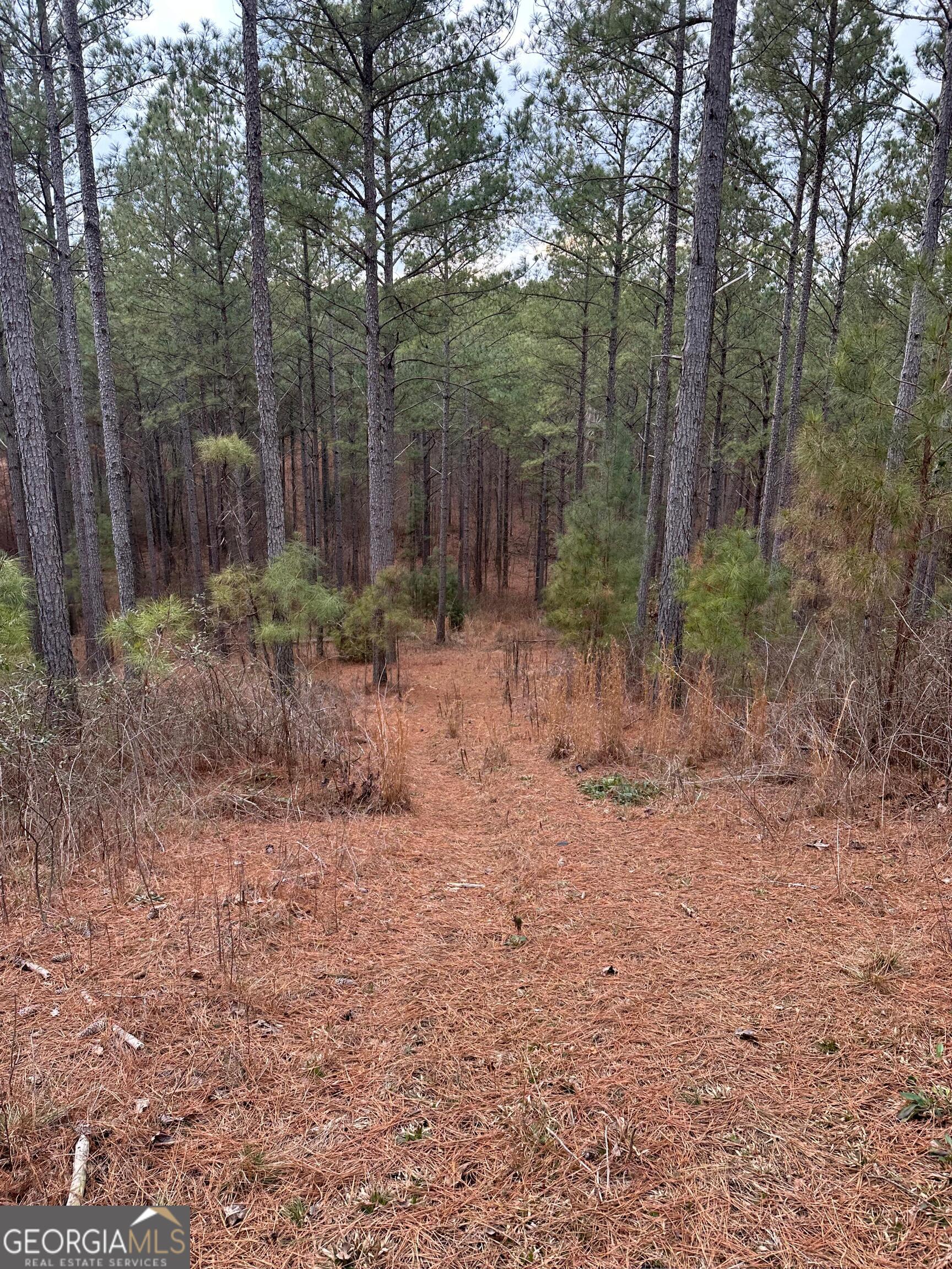 0 S Highway 225 # 9659 Property Photo 29