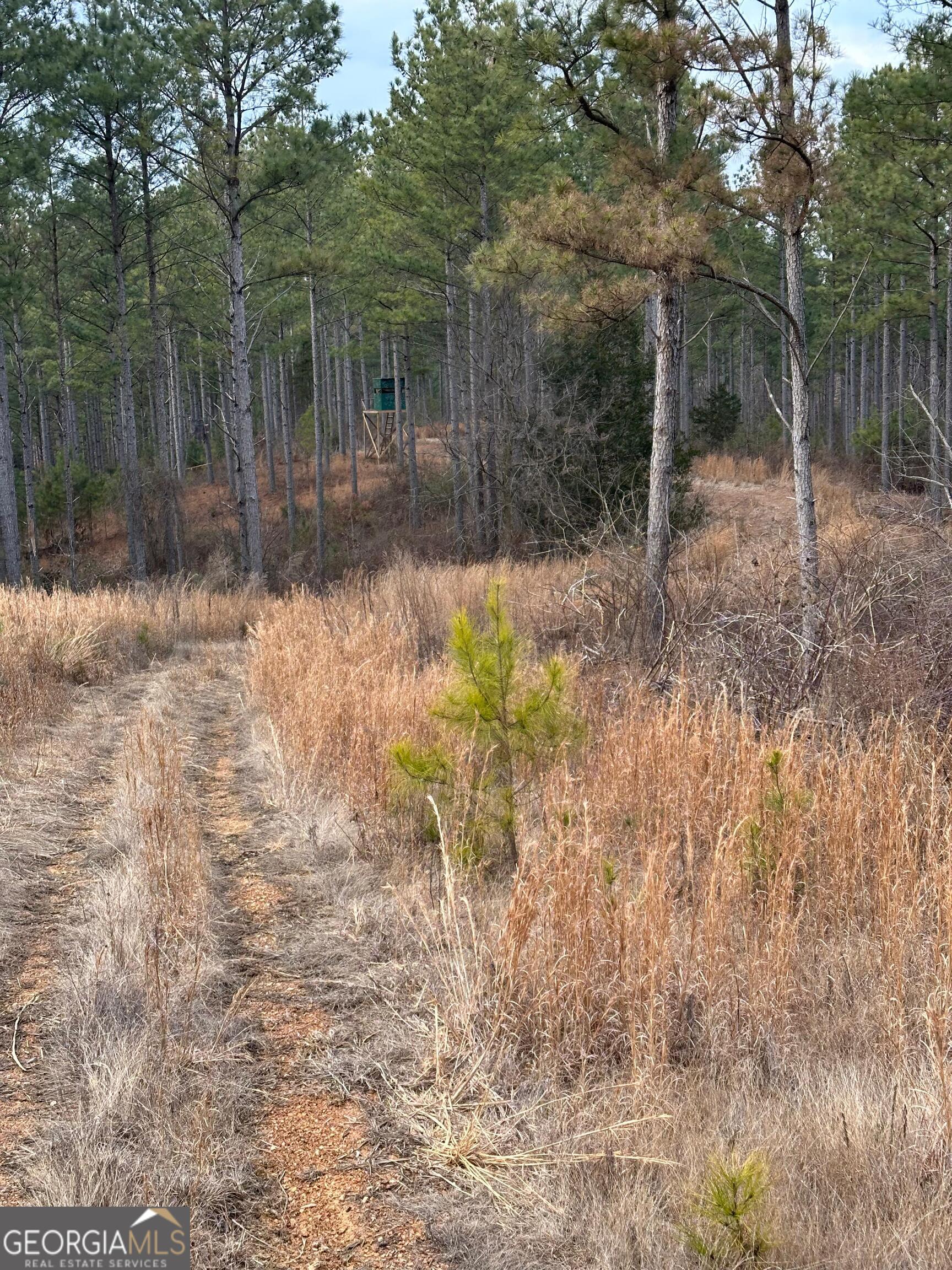 0 S Highway 225 # 9659 Property Photo 33