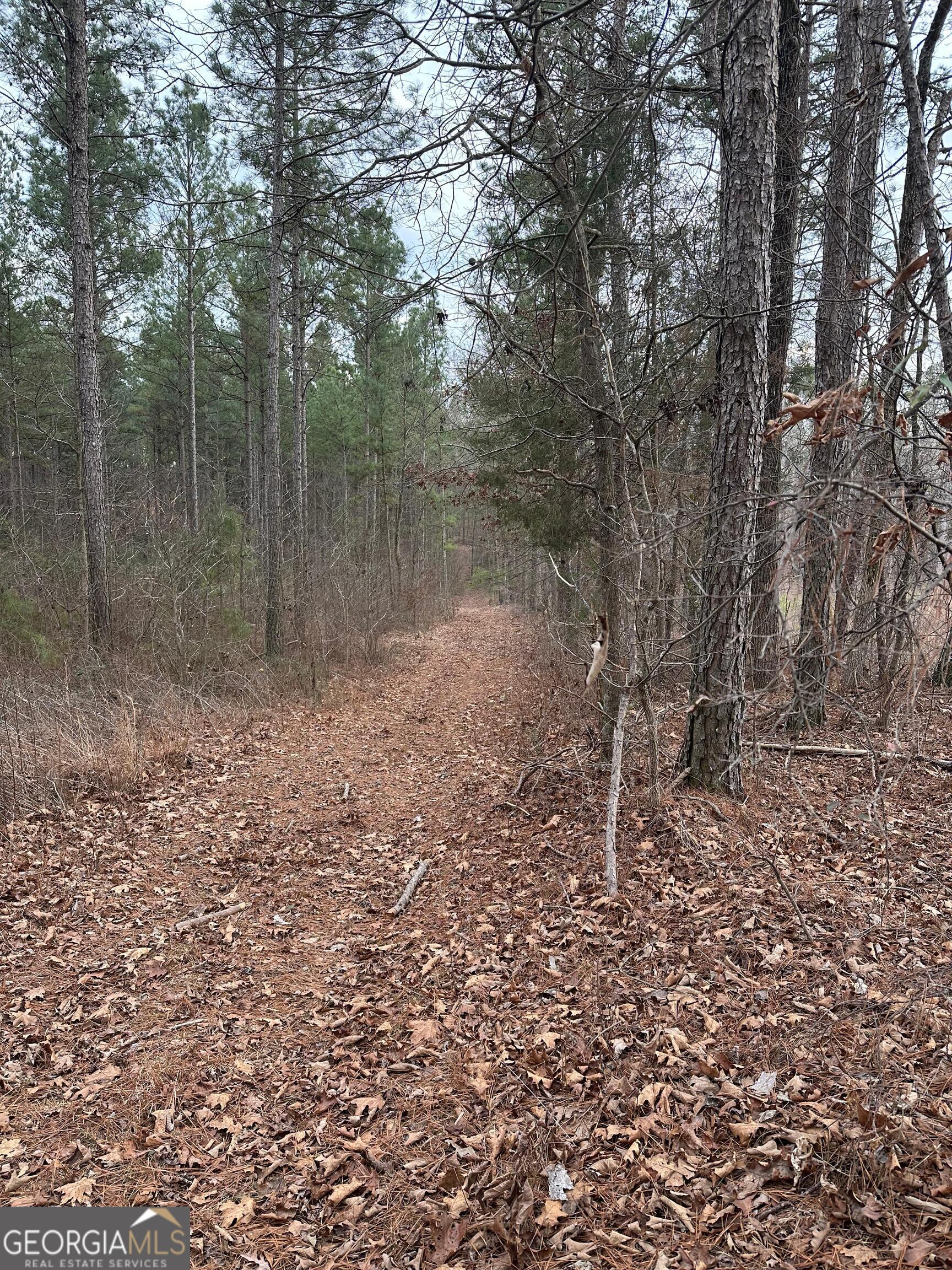 0 S Highway 225 # 9659 Property Photo 37
