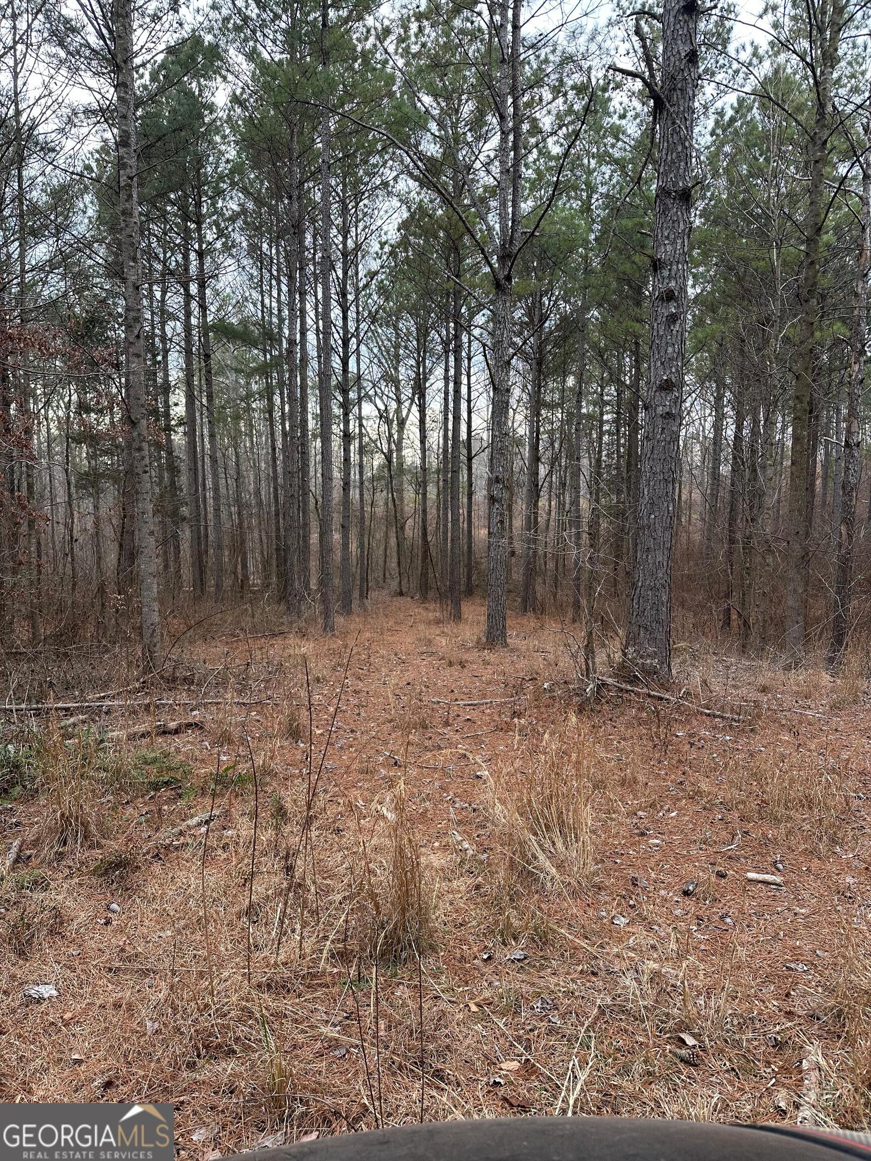 0 S Highway 225 # 9659 Property Photo 41