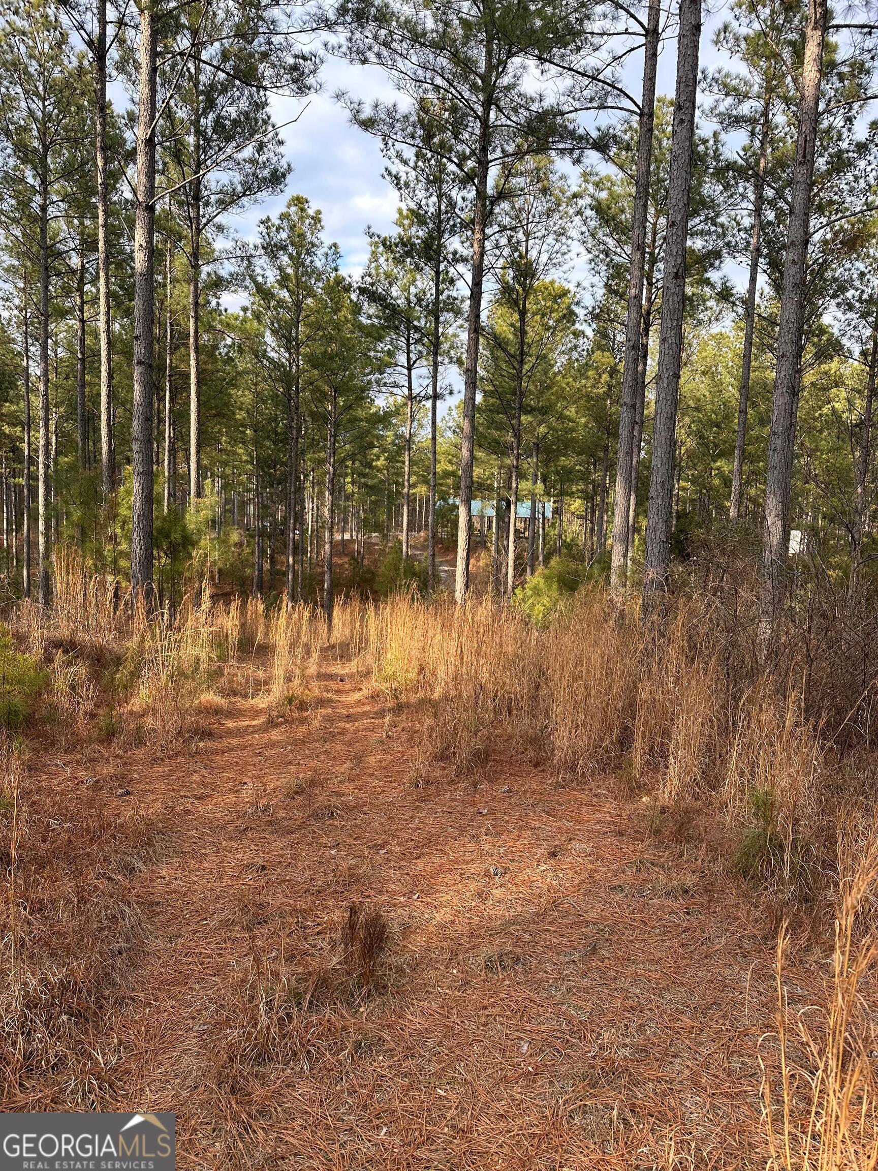 0 S Highway 225 # 9659 Property Photo 51