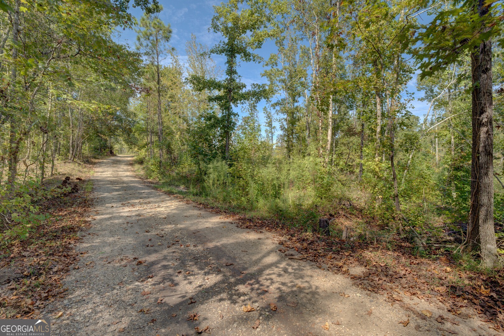 0 Rocky Creek Road Property Photo 2