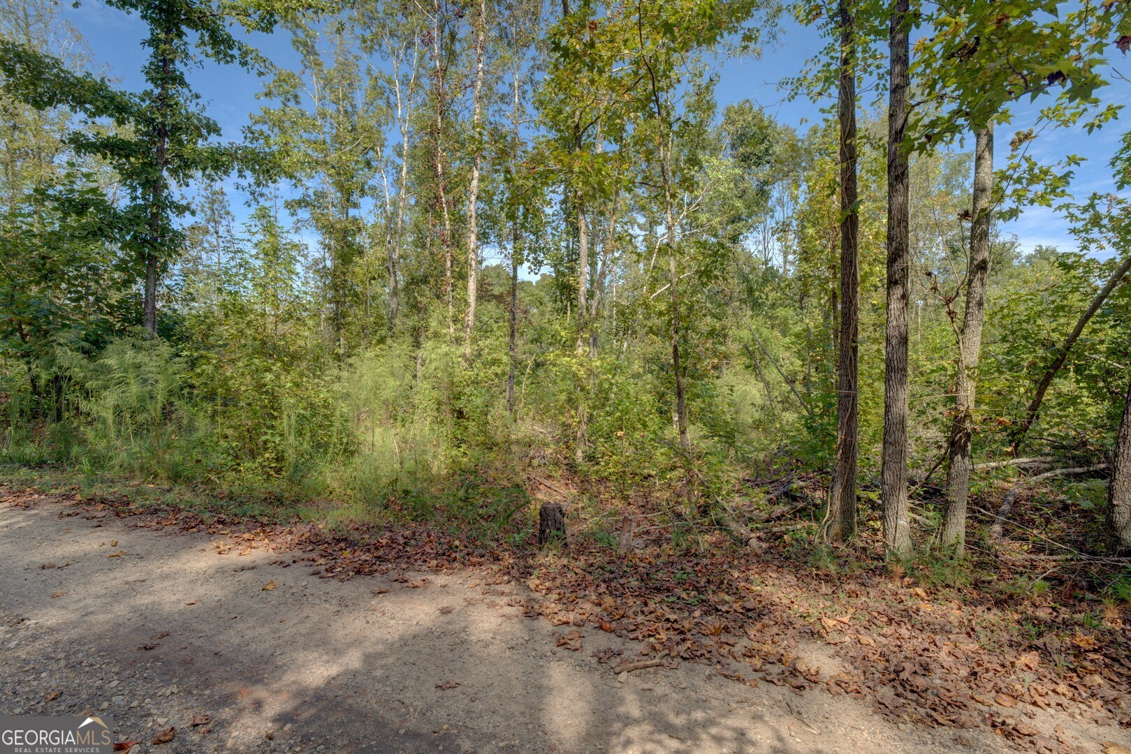 0 Rocky Creek Road Property Photo 3