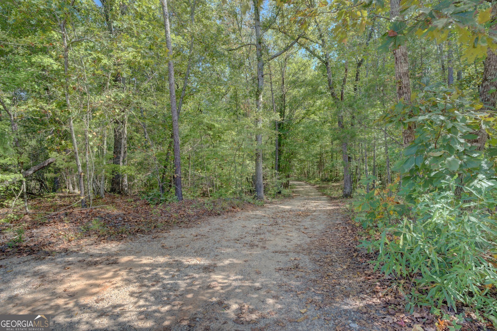 0 Rocky Creek Road Property Photo 4