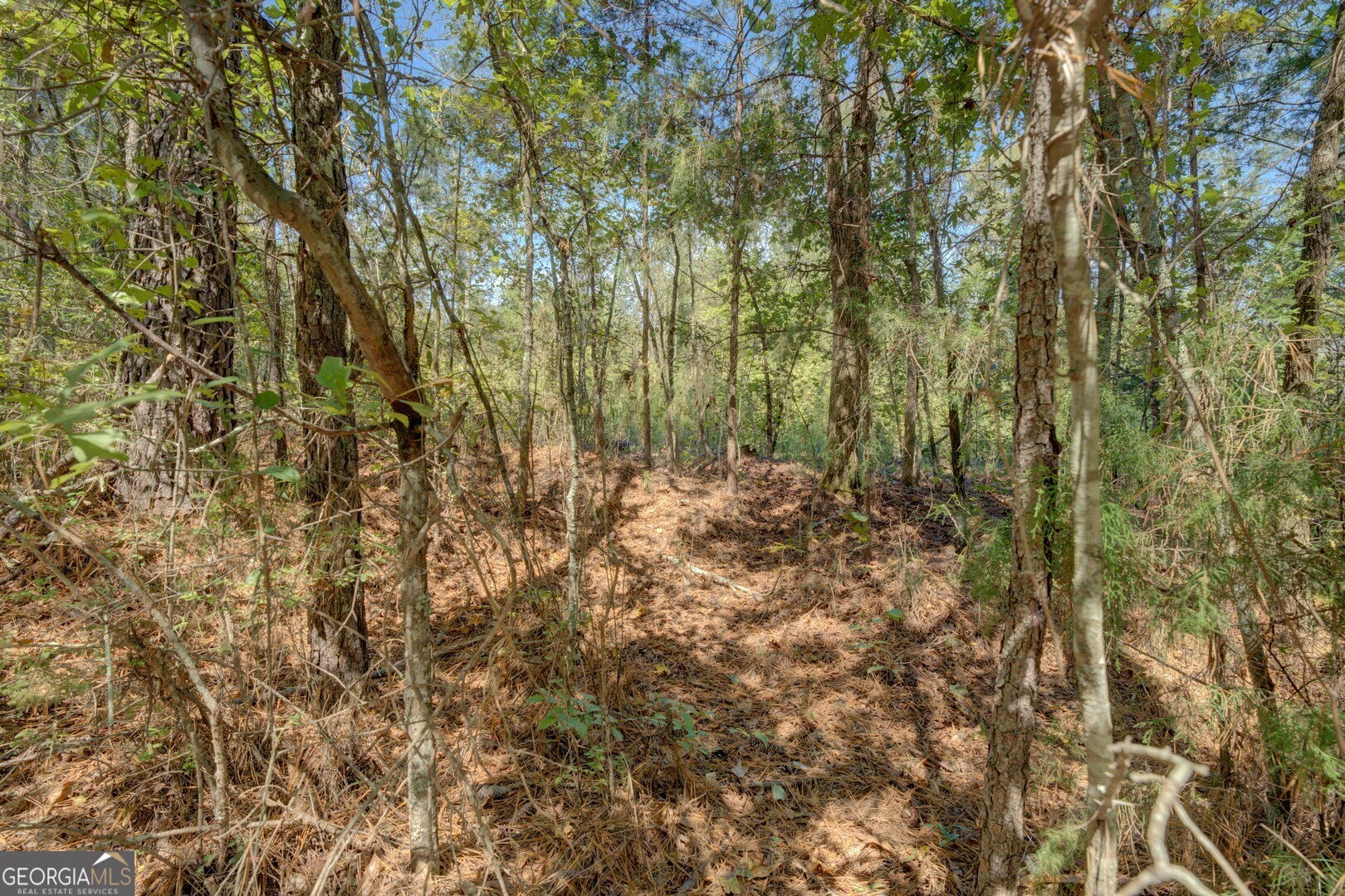 0 Rocky Creek Road Property Photo 5