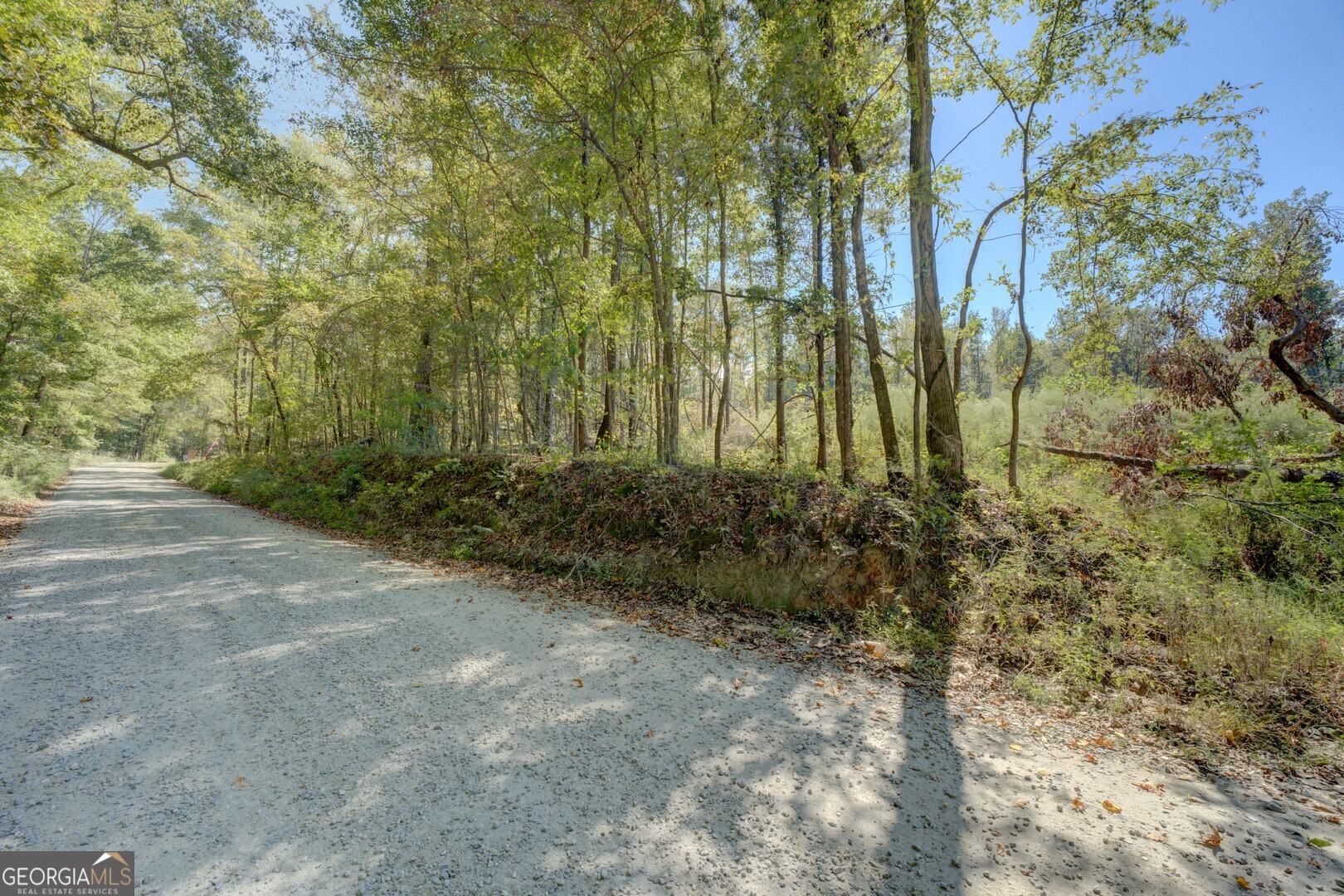 0 Rocky Creek Road Property Photo 6