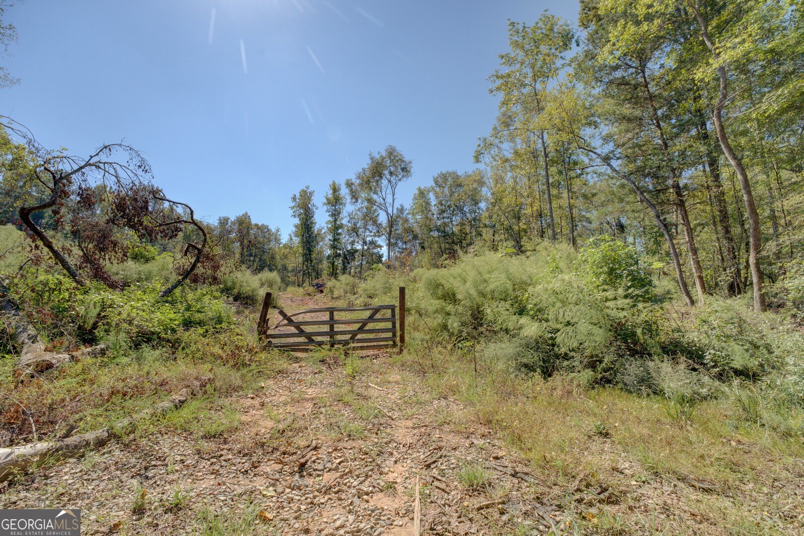 0 Rocky Creek Road Property Photo 7