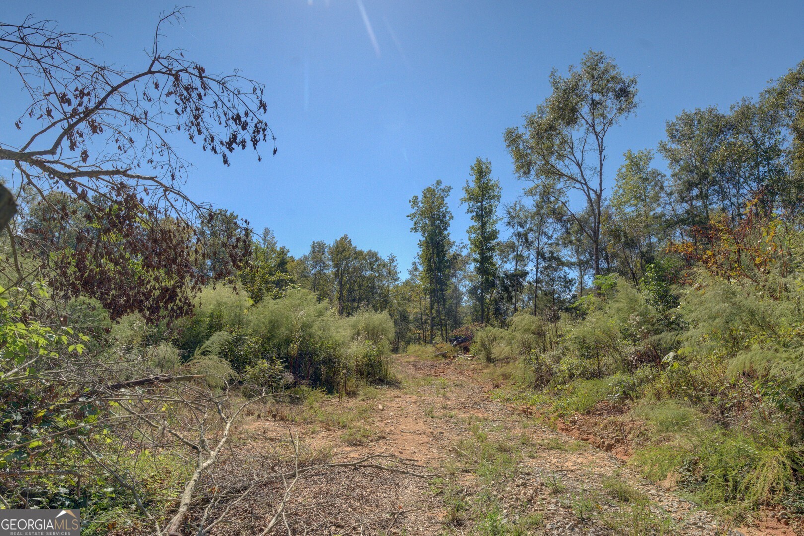 0 Rocky Creek Road Property Photo 8
