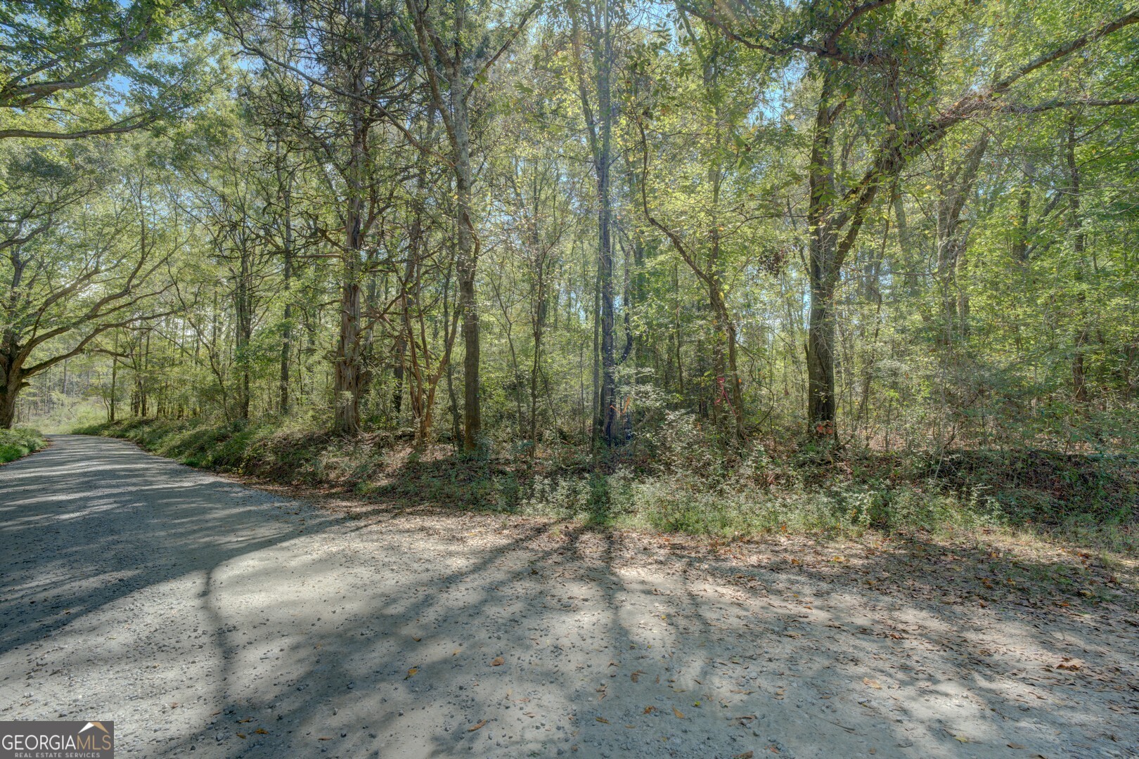 0 Rocky Creek Road Property Photo 9